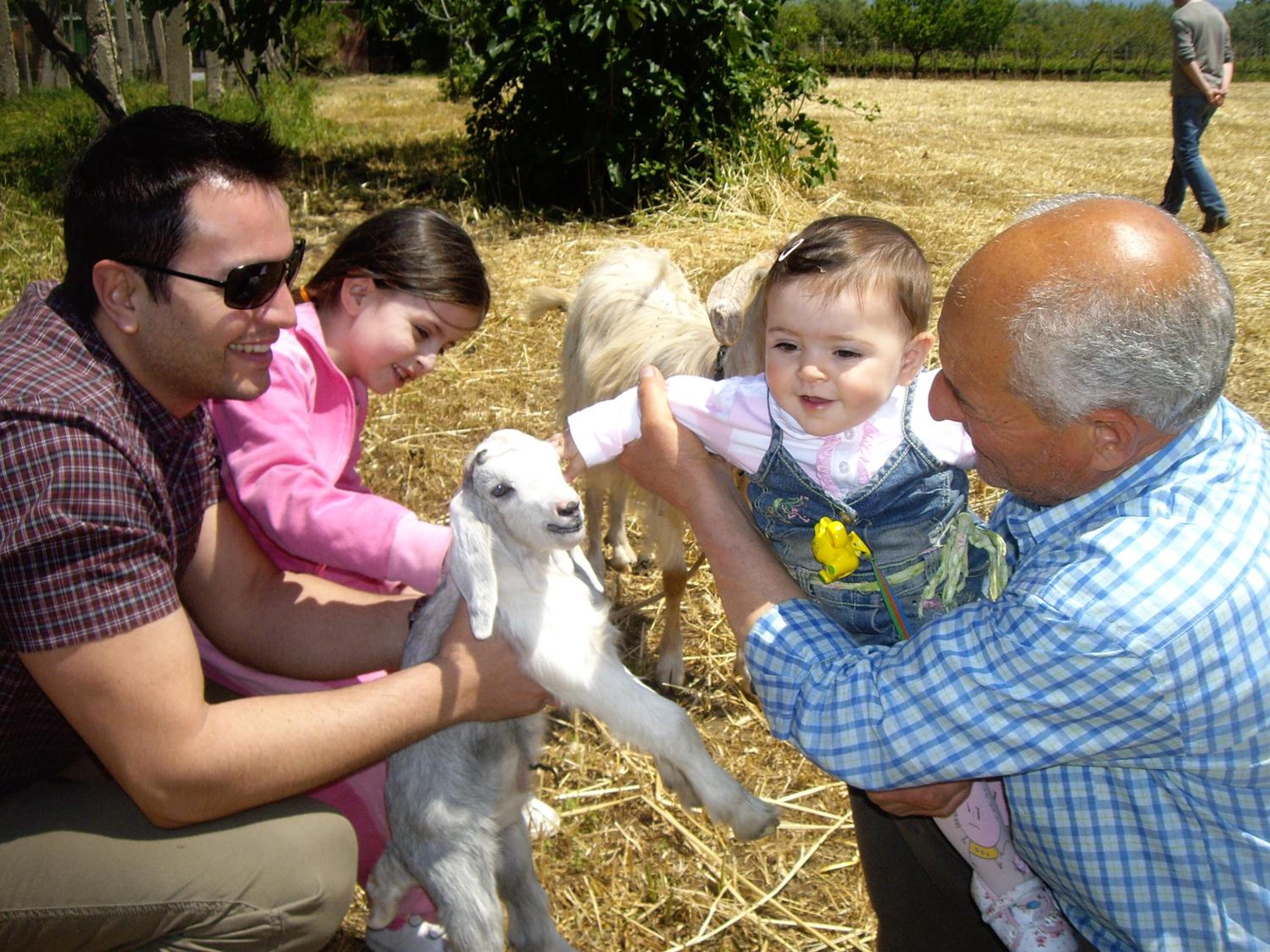Agriturismo Frantoio Mafrica