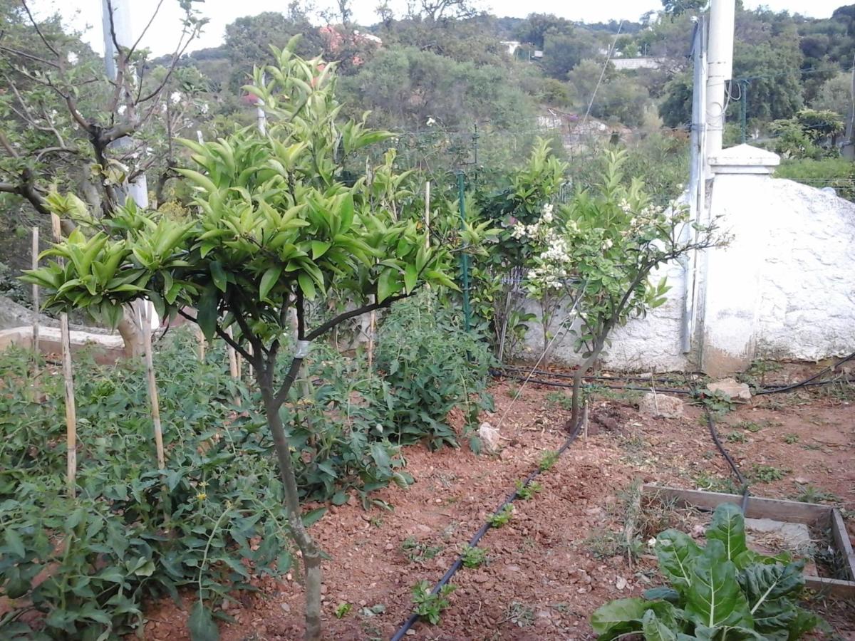 Photo 28