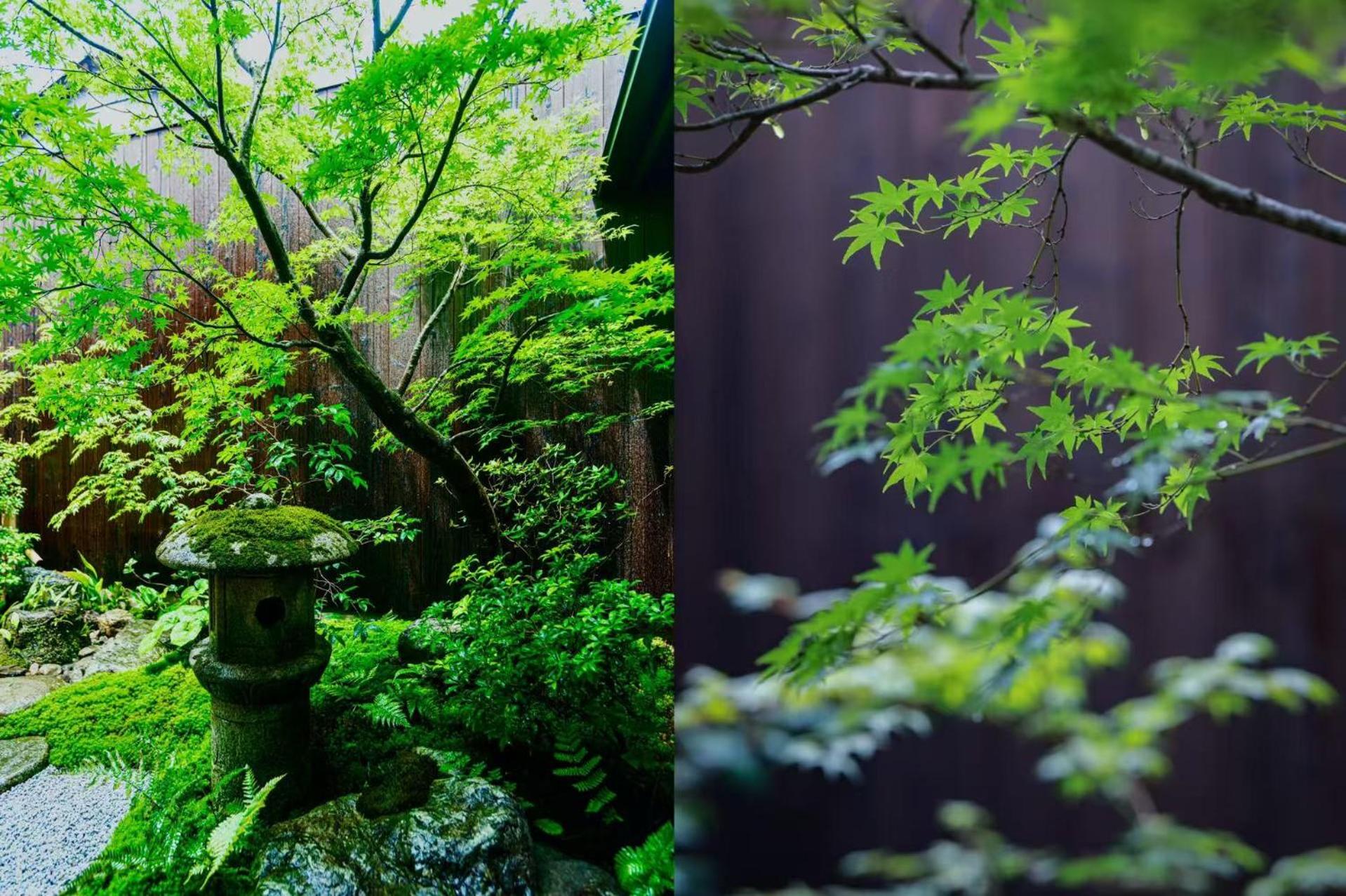 京嵐-本願寺-靠近京都站