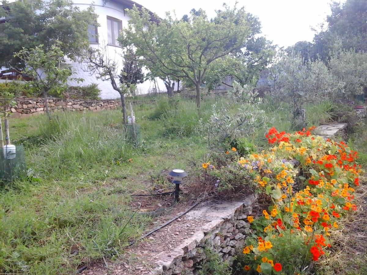 Photo 21