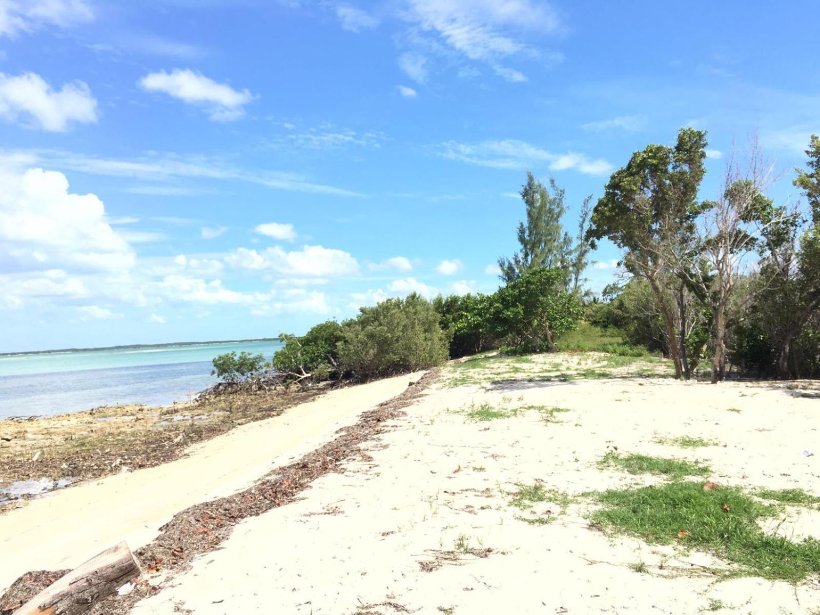 Mangrove Cay Sea View Villas