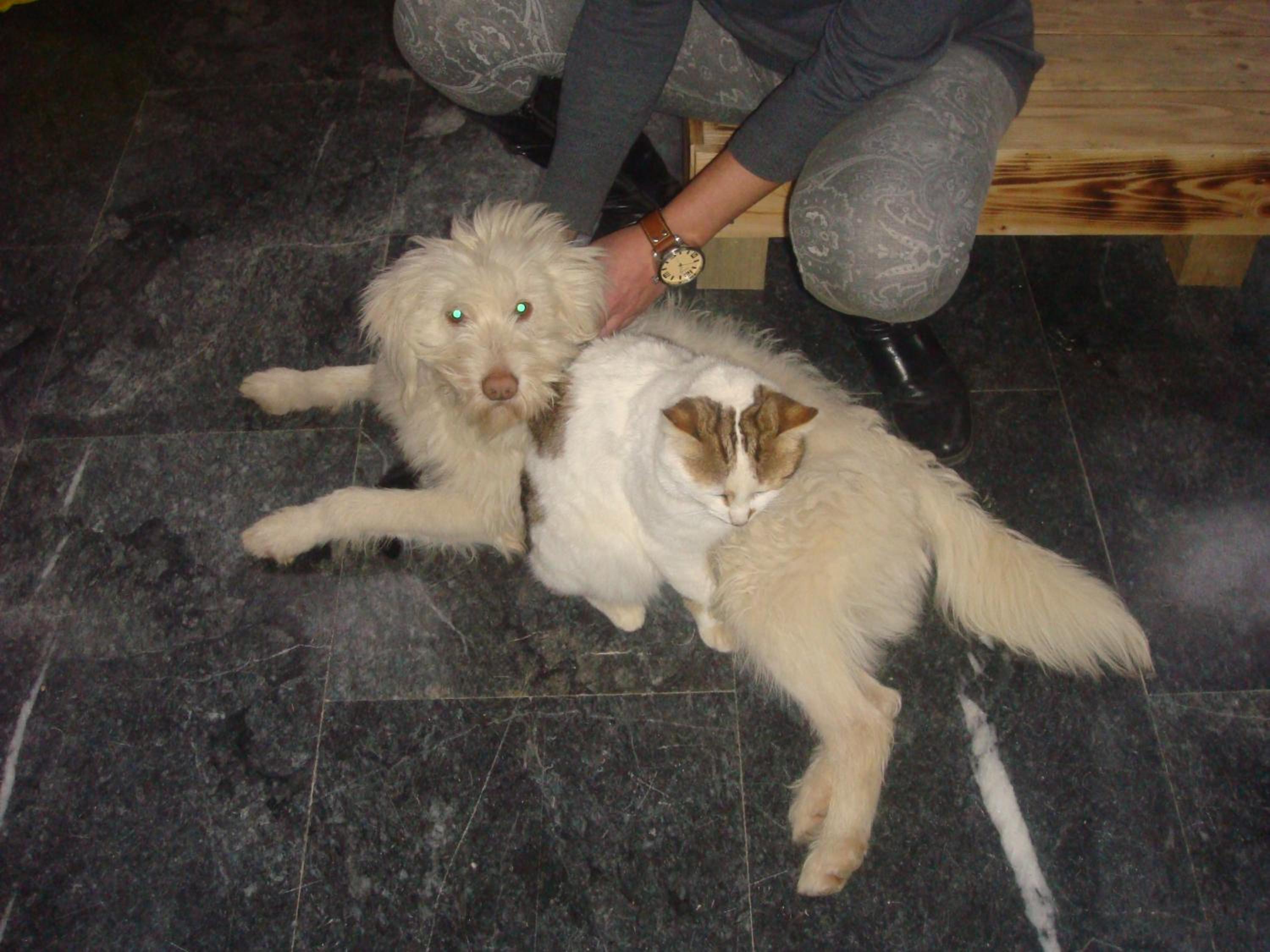 Photo 21