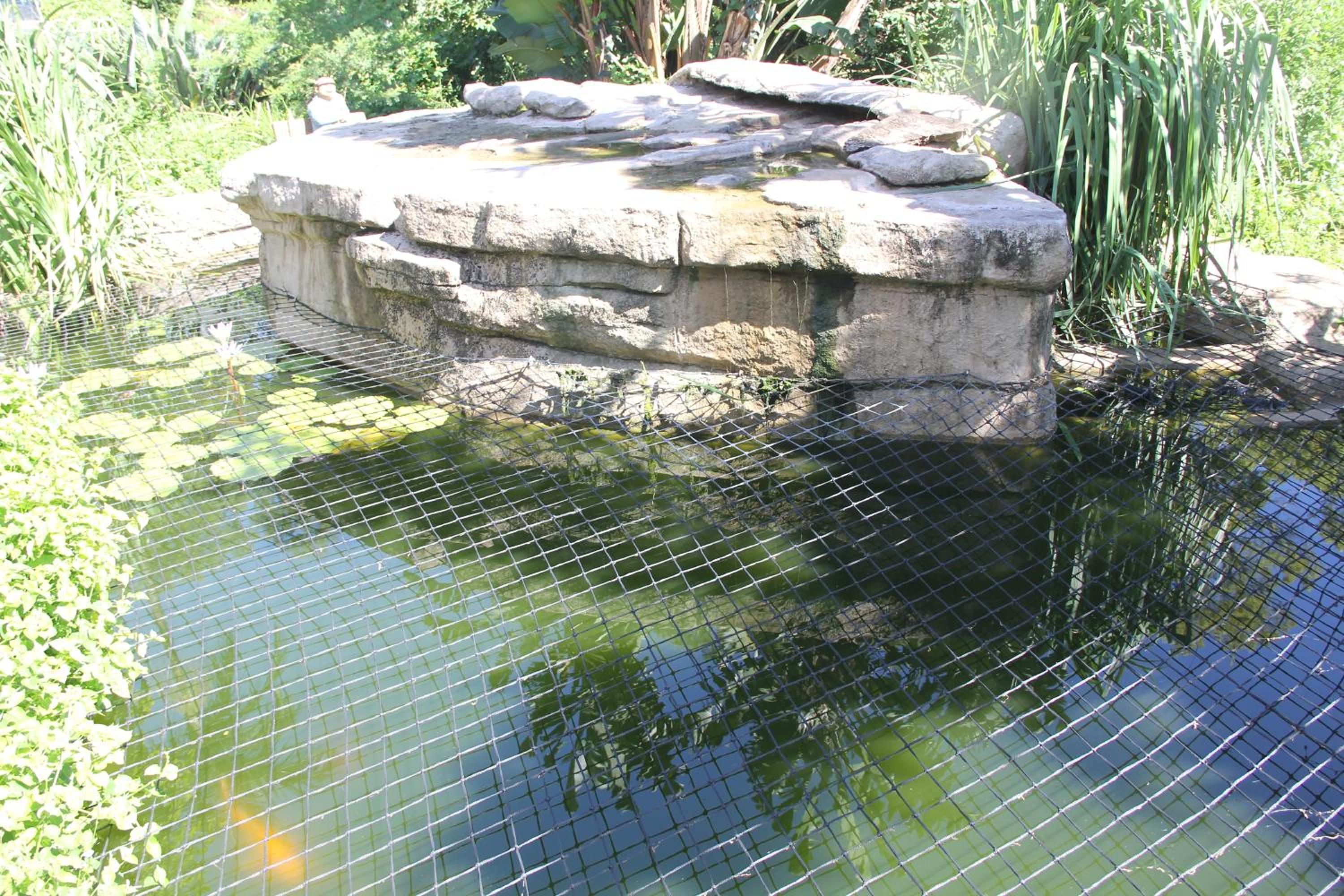 Le Residence de Josephine, photo 25