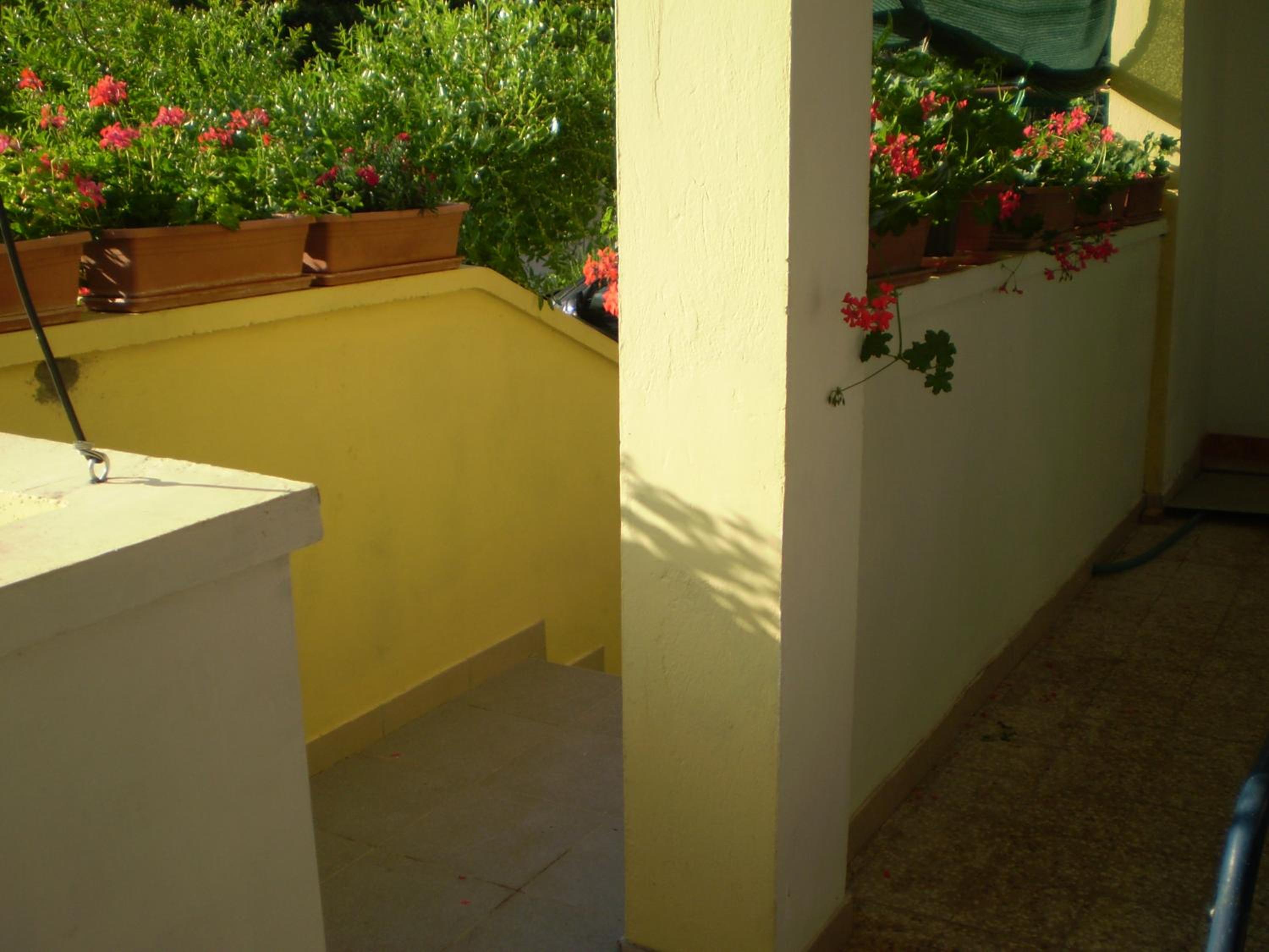 Apartments Kocijan