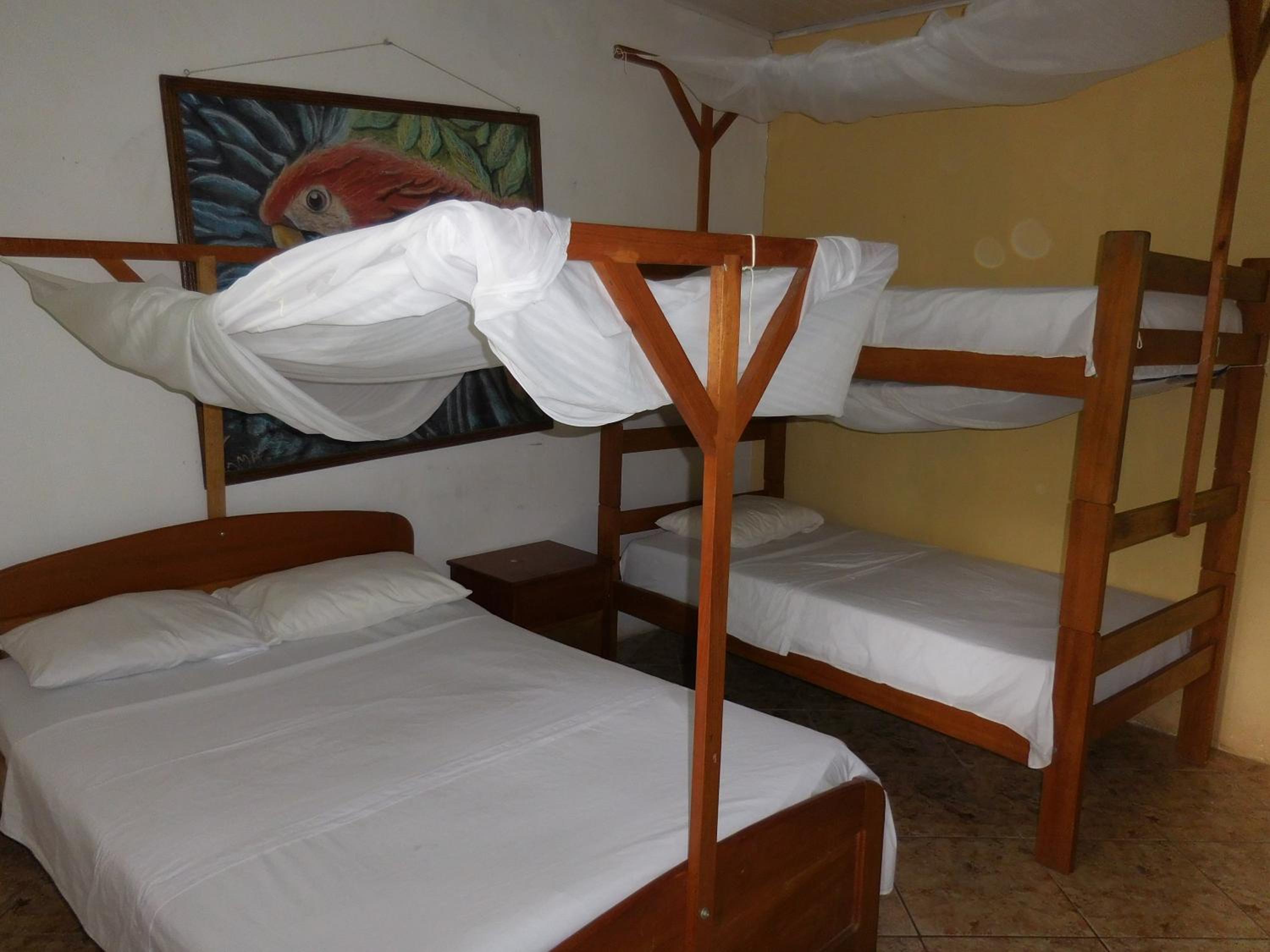 Tambopata Hostel