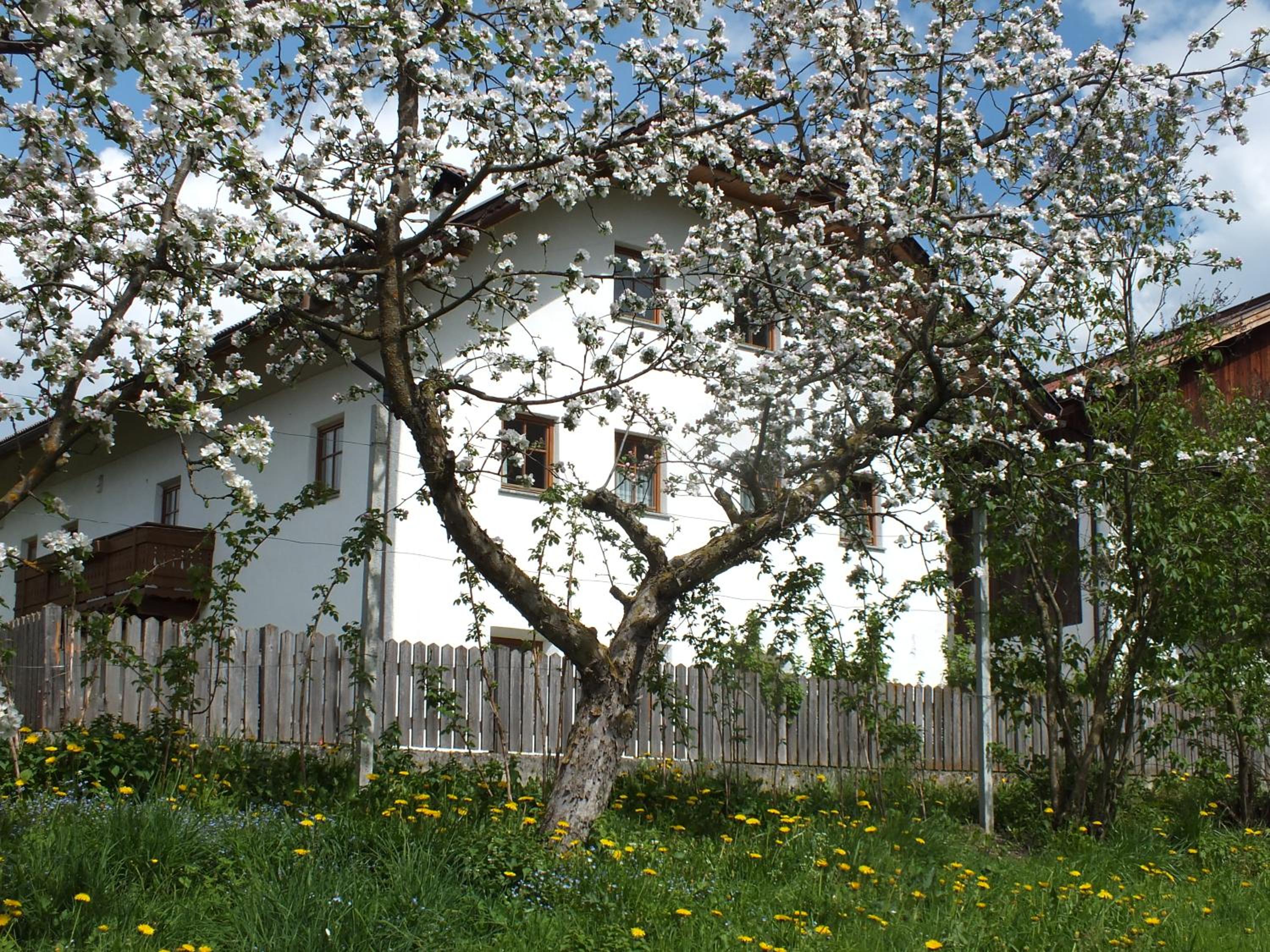 Großflatscherhof view 3