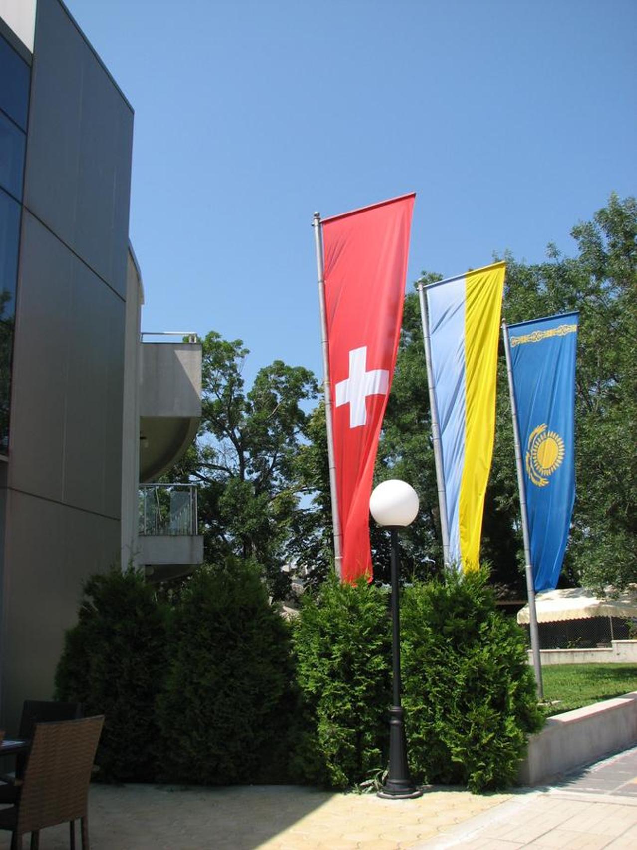 Photo 10