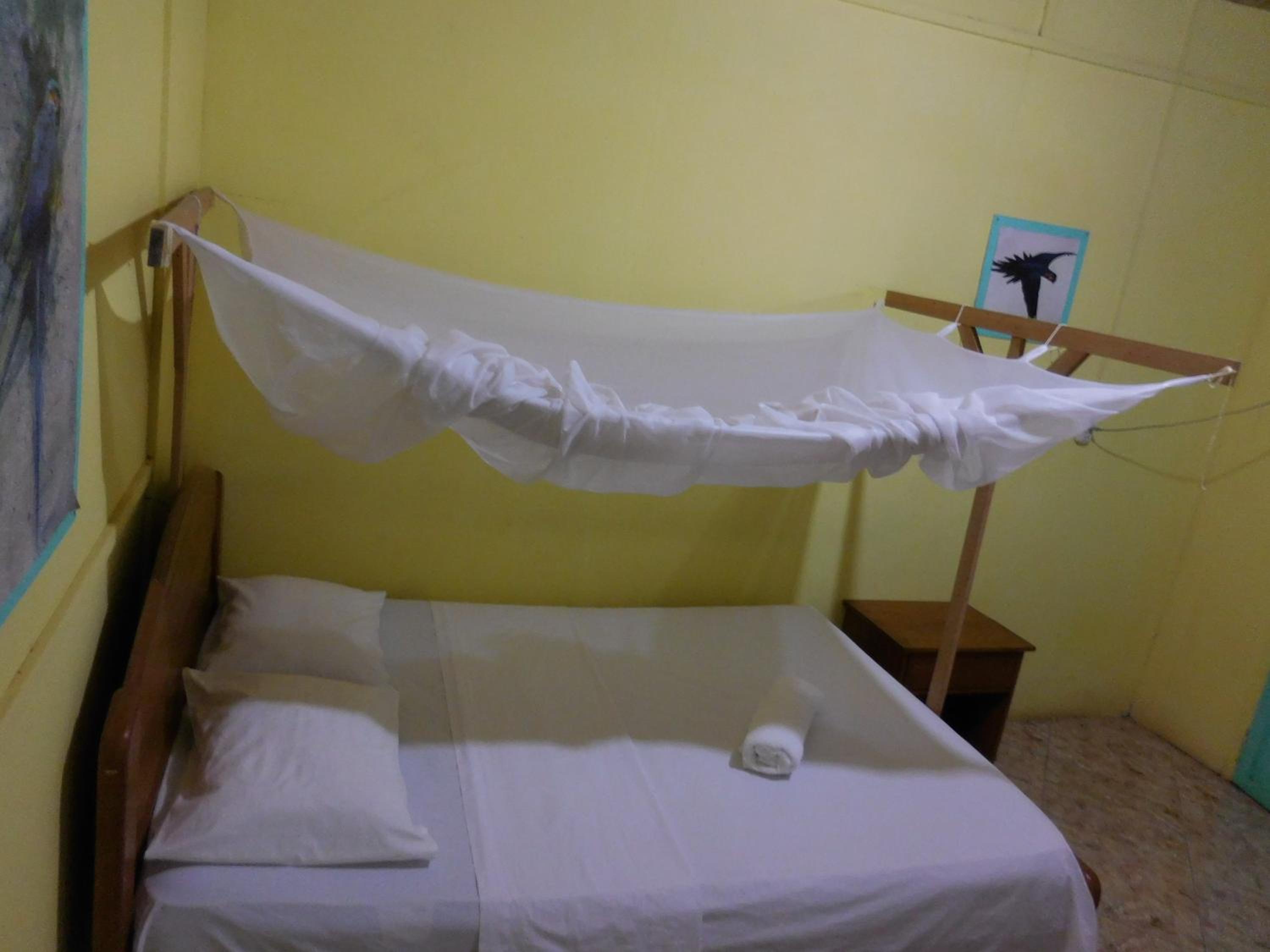 Tambopata Hostel