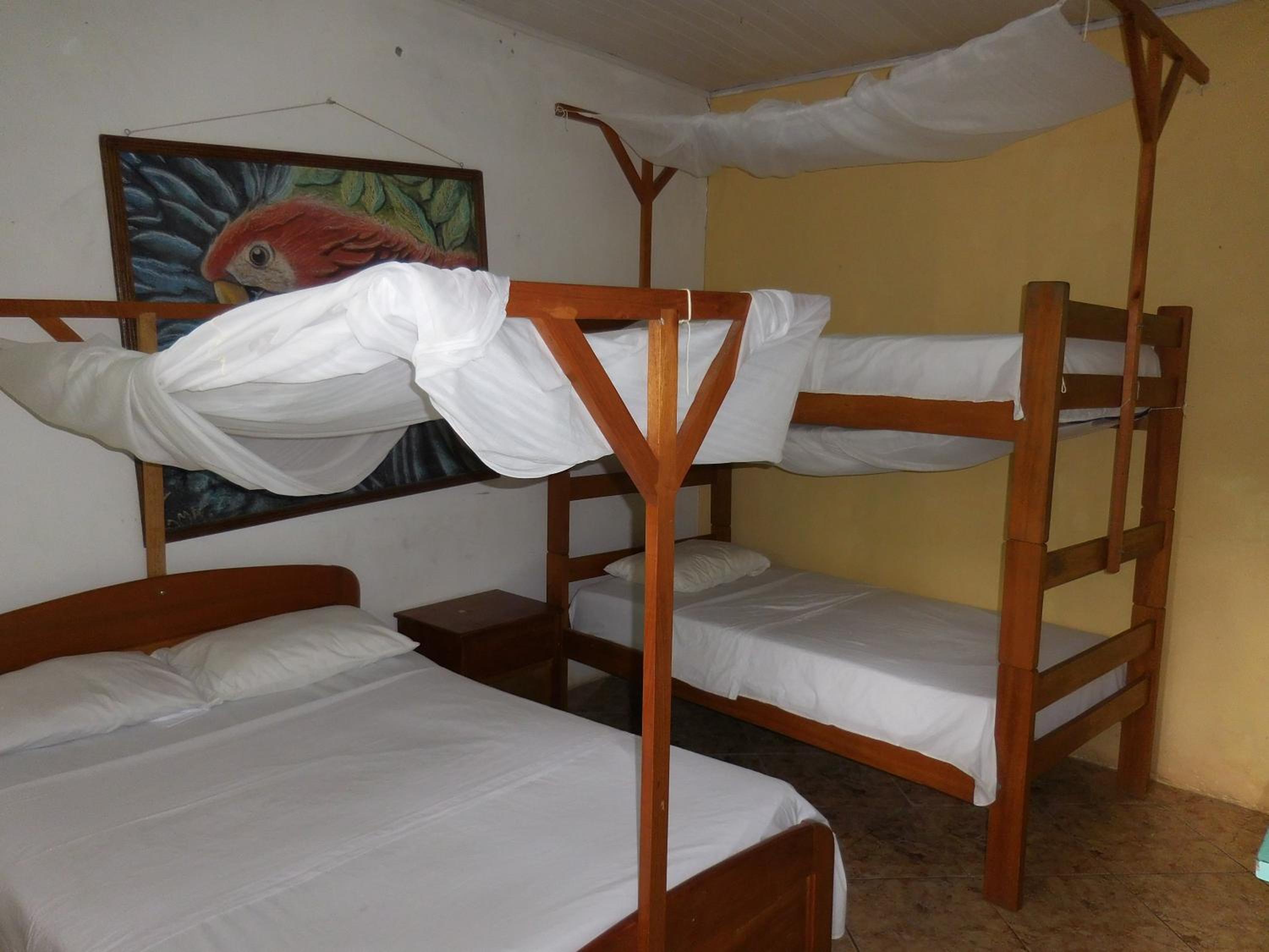 Tambopata Hostel