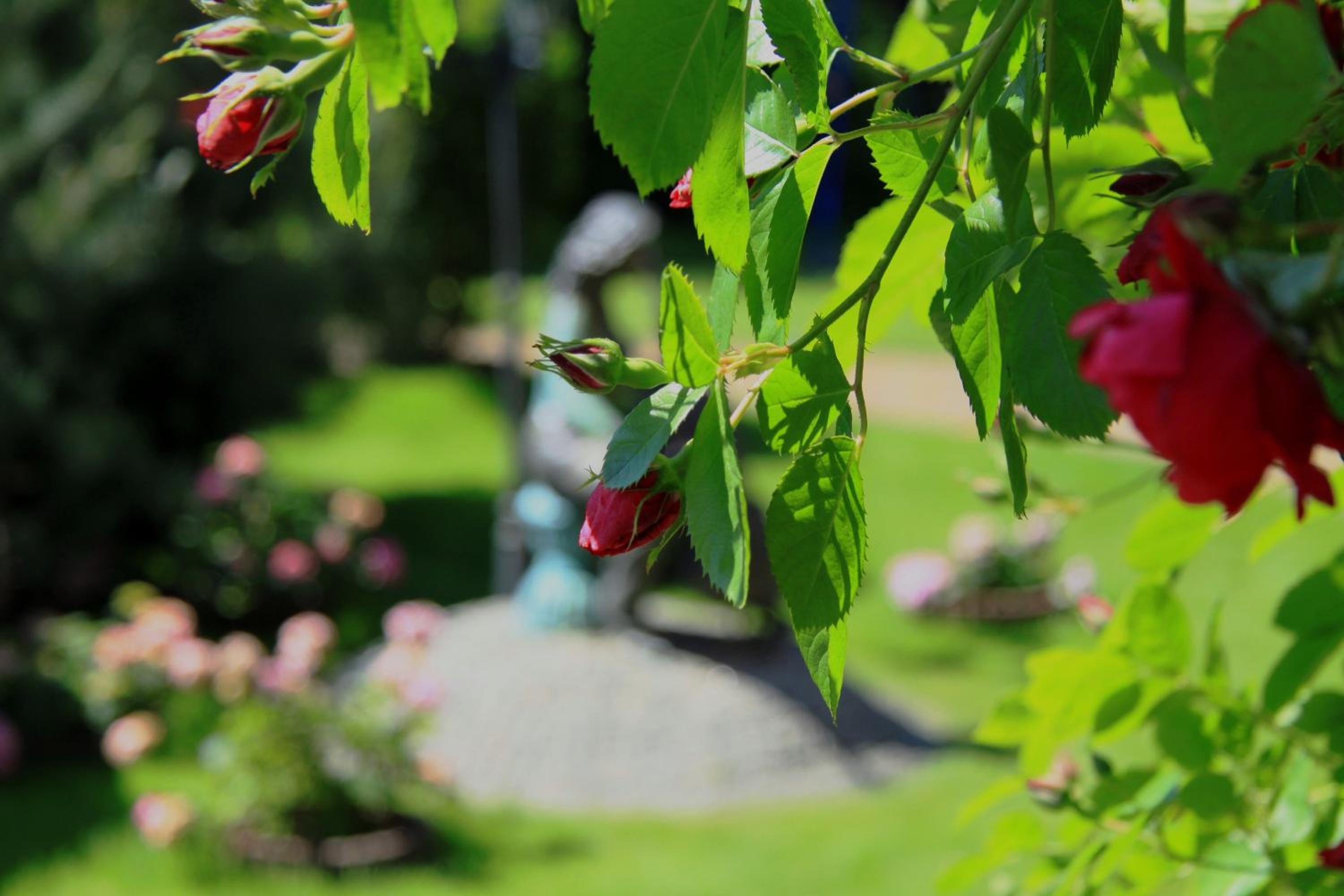 Photo 41