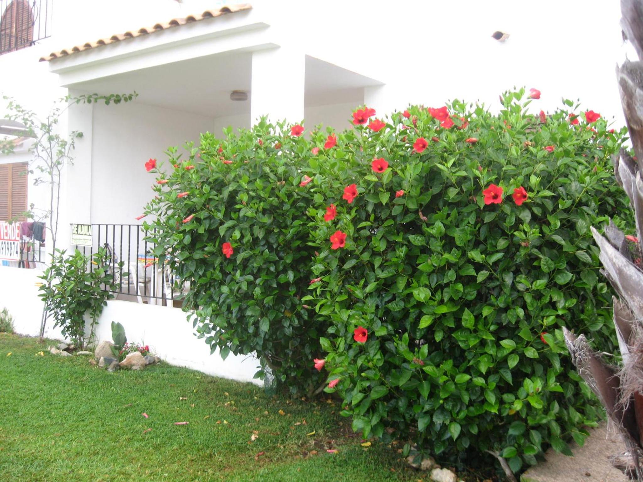 Apartamento en Aldeas de Taray club