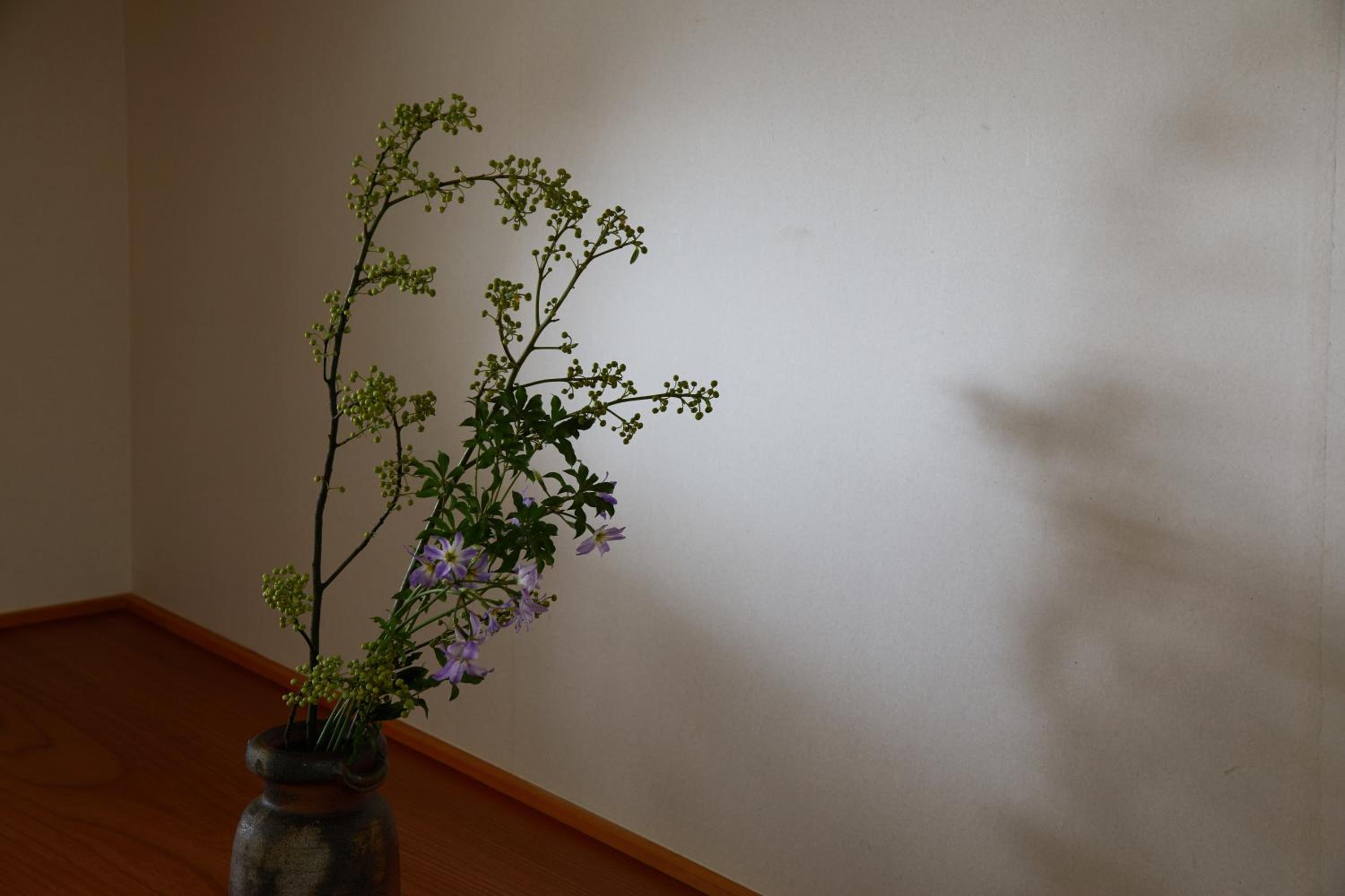 Enso Machiya