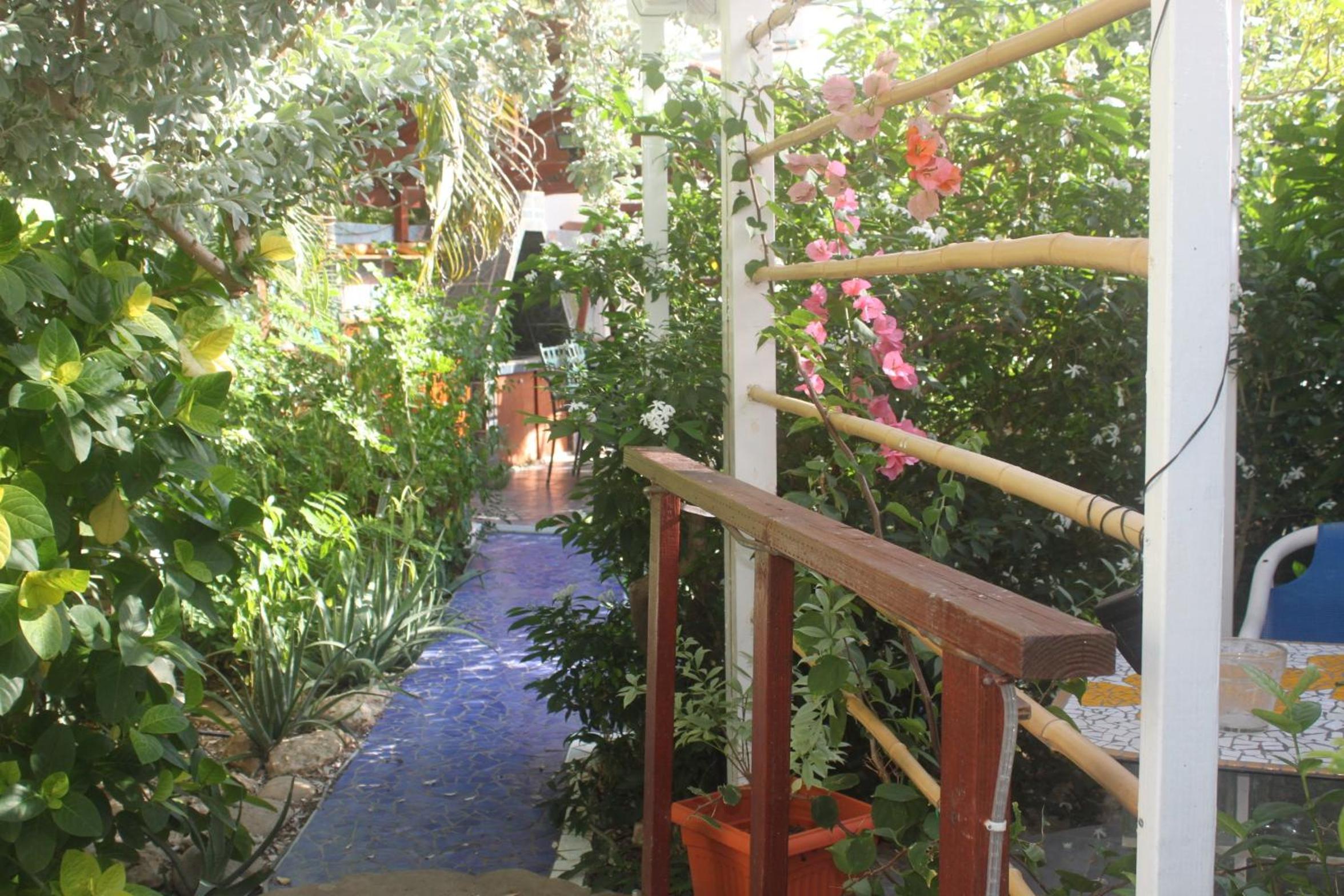 Sunflower Villa Studios