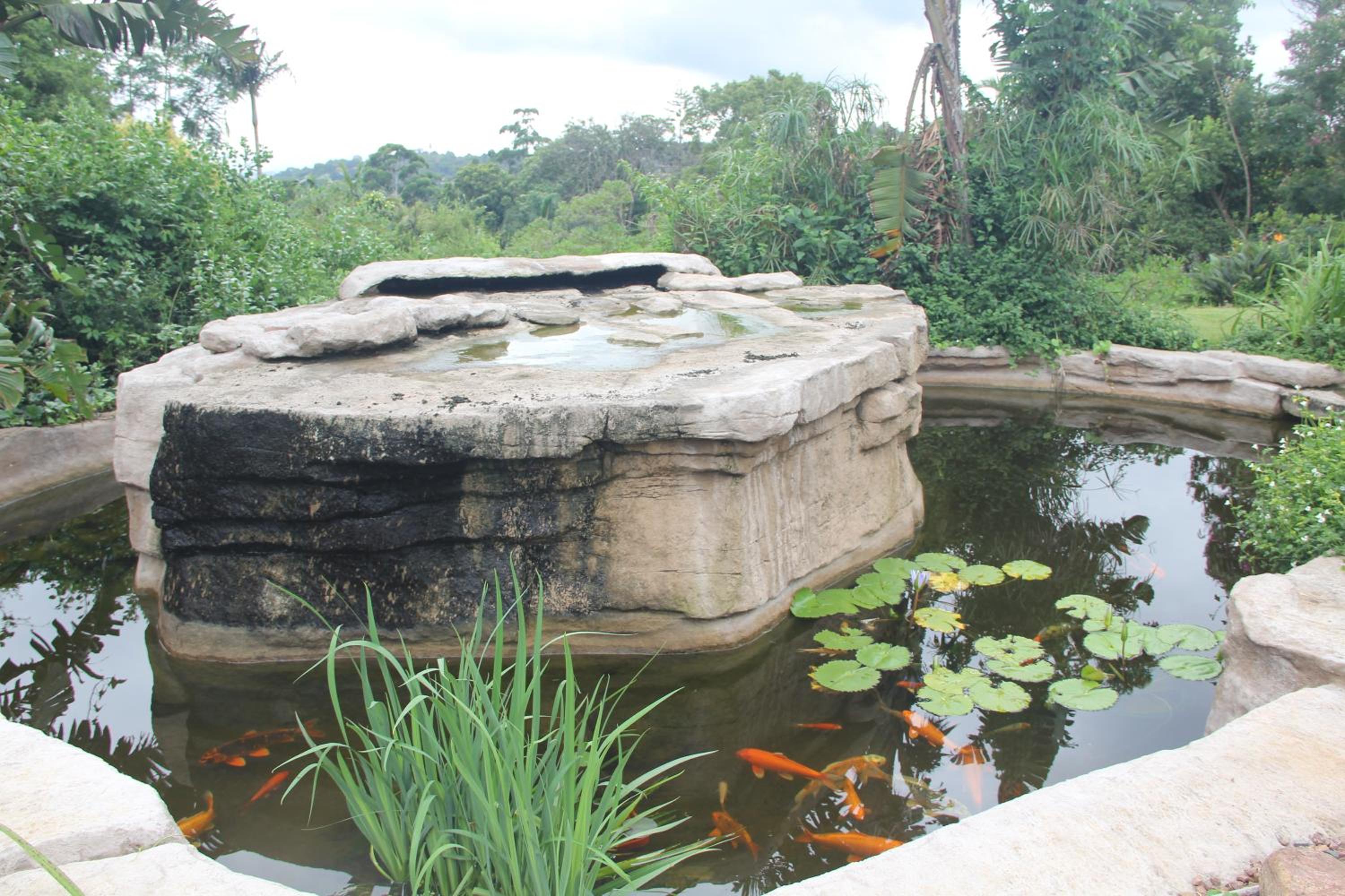 Le Residence de Josephine, photo 10
