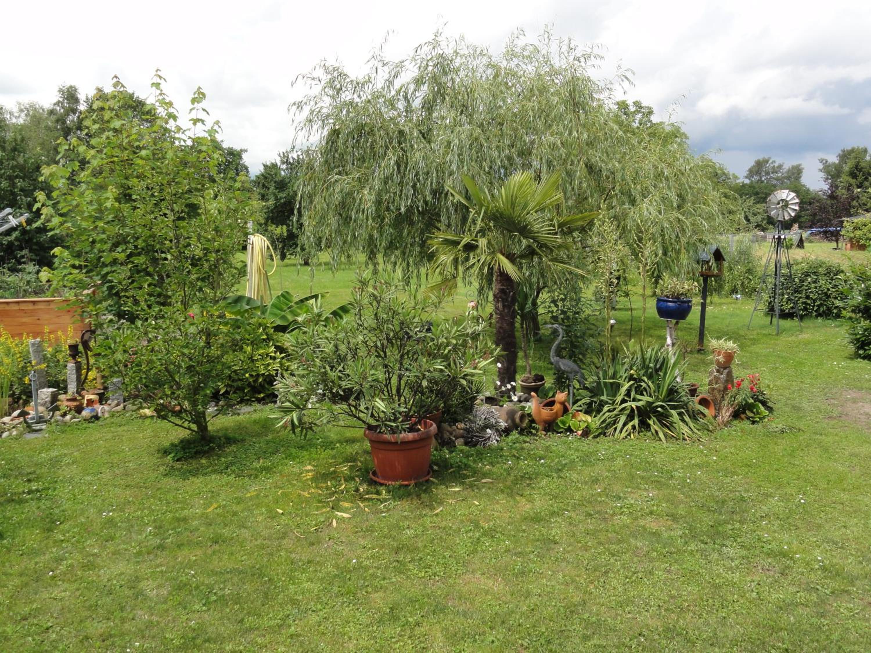 Photo 27