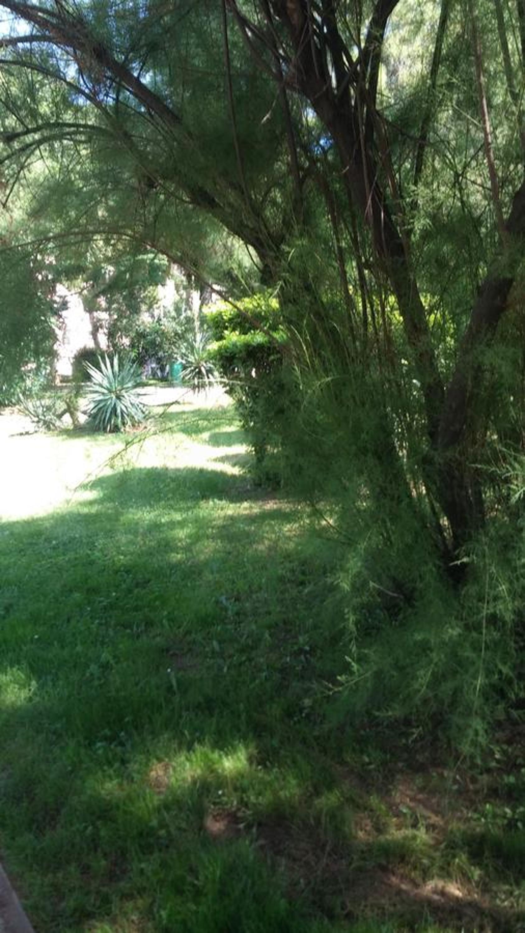 Arco Arina Apartment view 2
