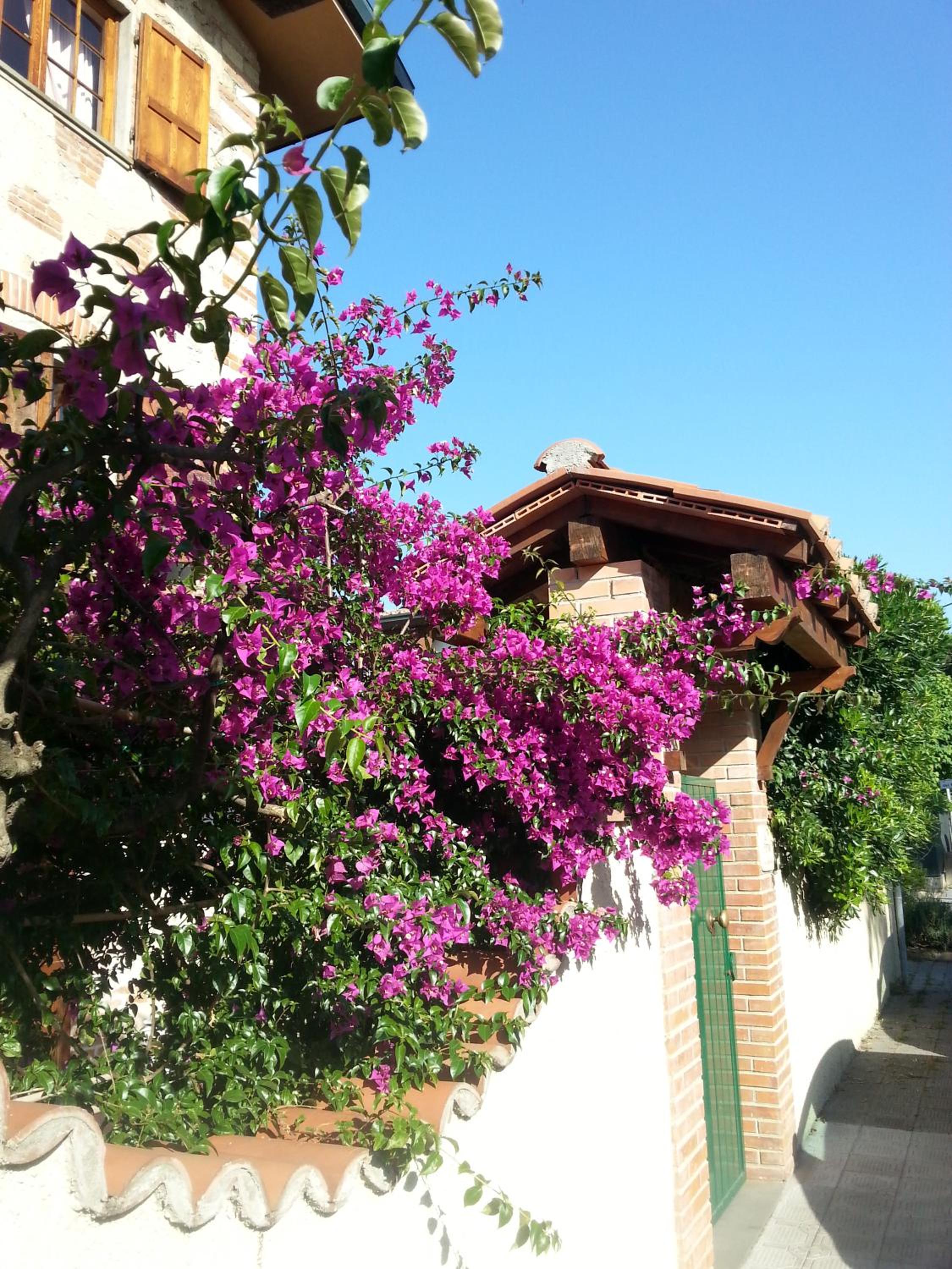 Villa Il Fortino