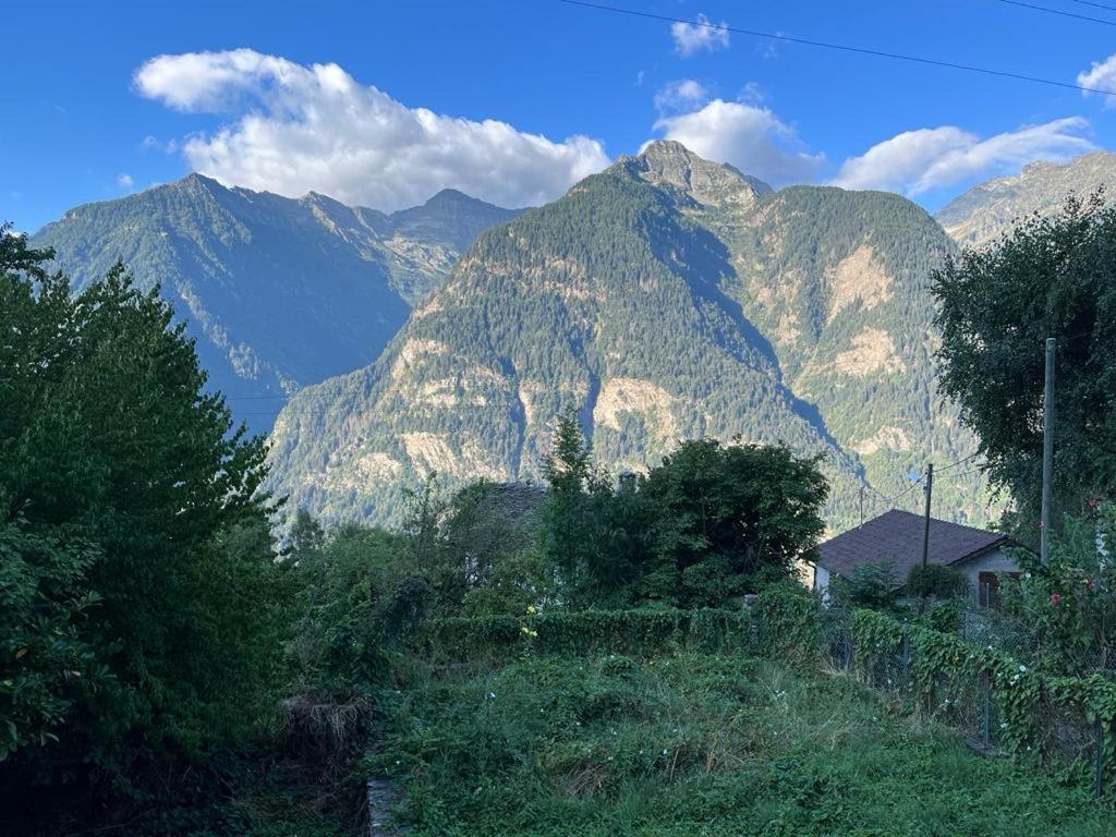Ca da Viola, autentico chalet alpino con sauna privata per gruppi