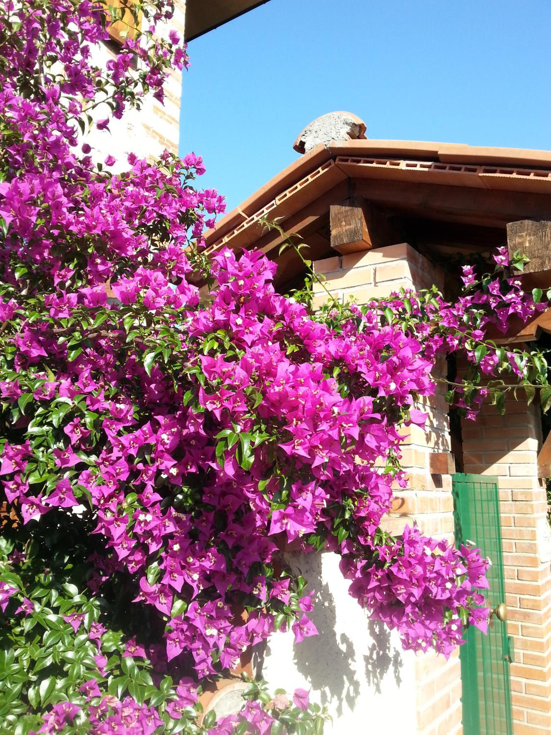 Villa Il Fortino
