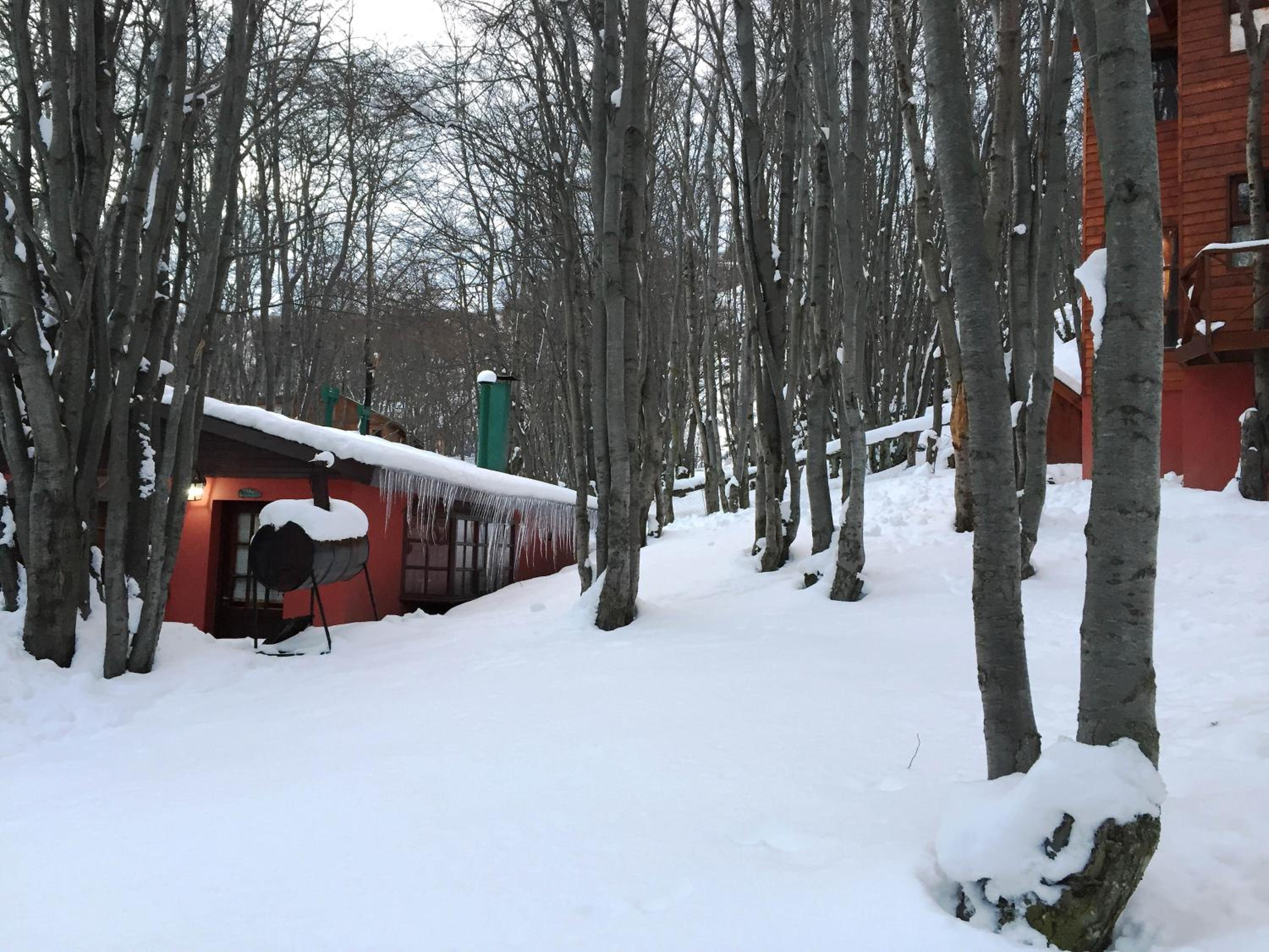 Cabañas Bosque Del Faldeo