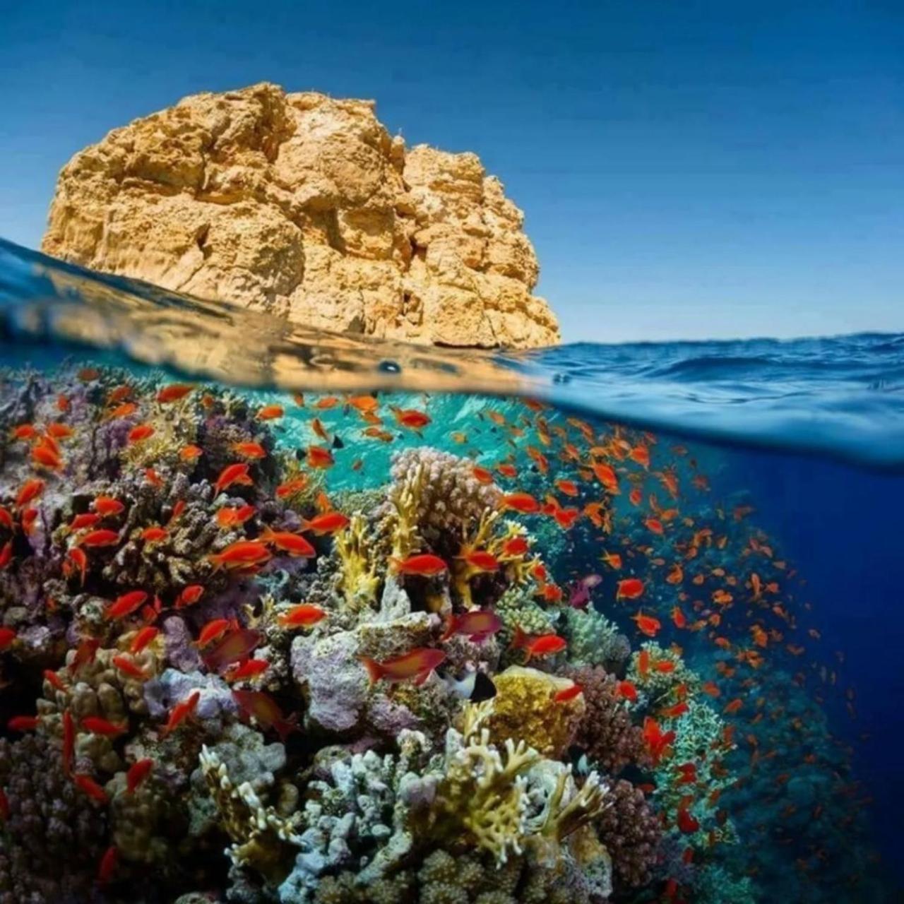Elegant Apartments & Aquapark - B&B- FREE WI-FI-Sharm El Sheikh