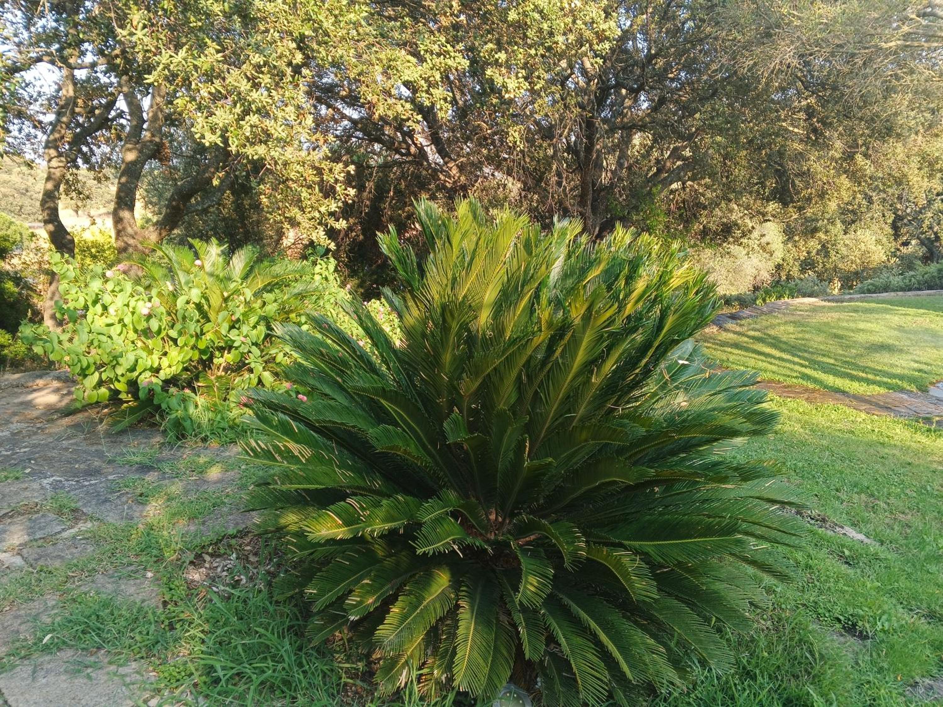 Photo 29