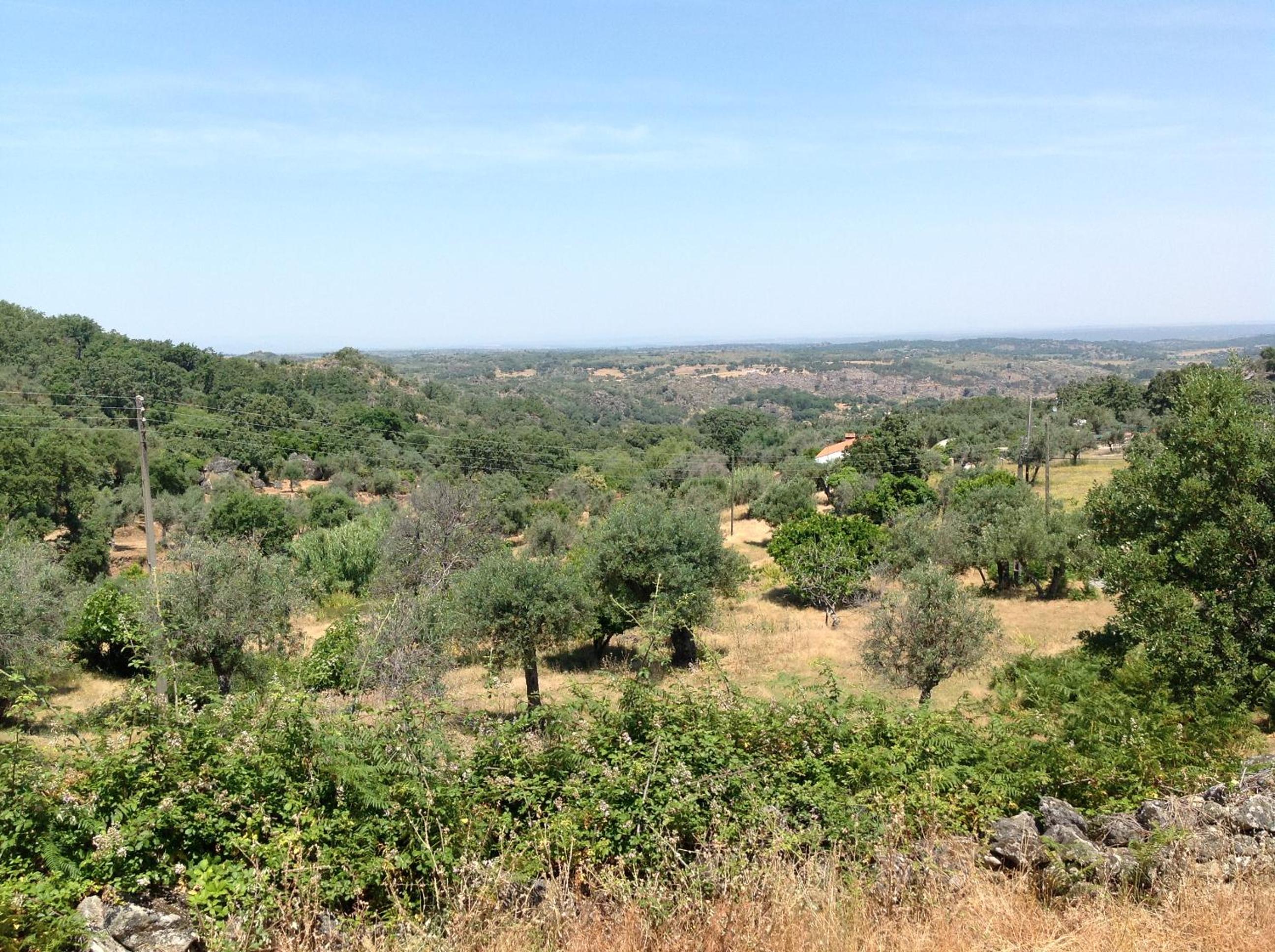 Refugio da Maceira view 5