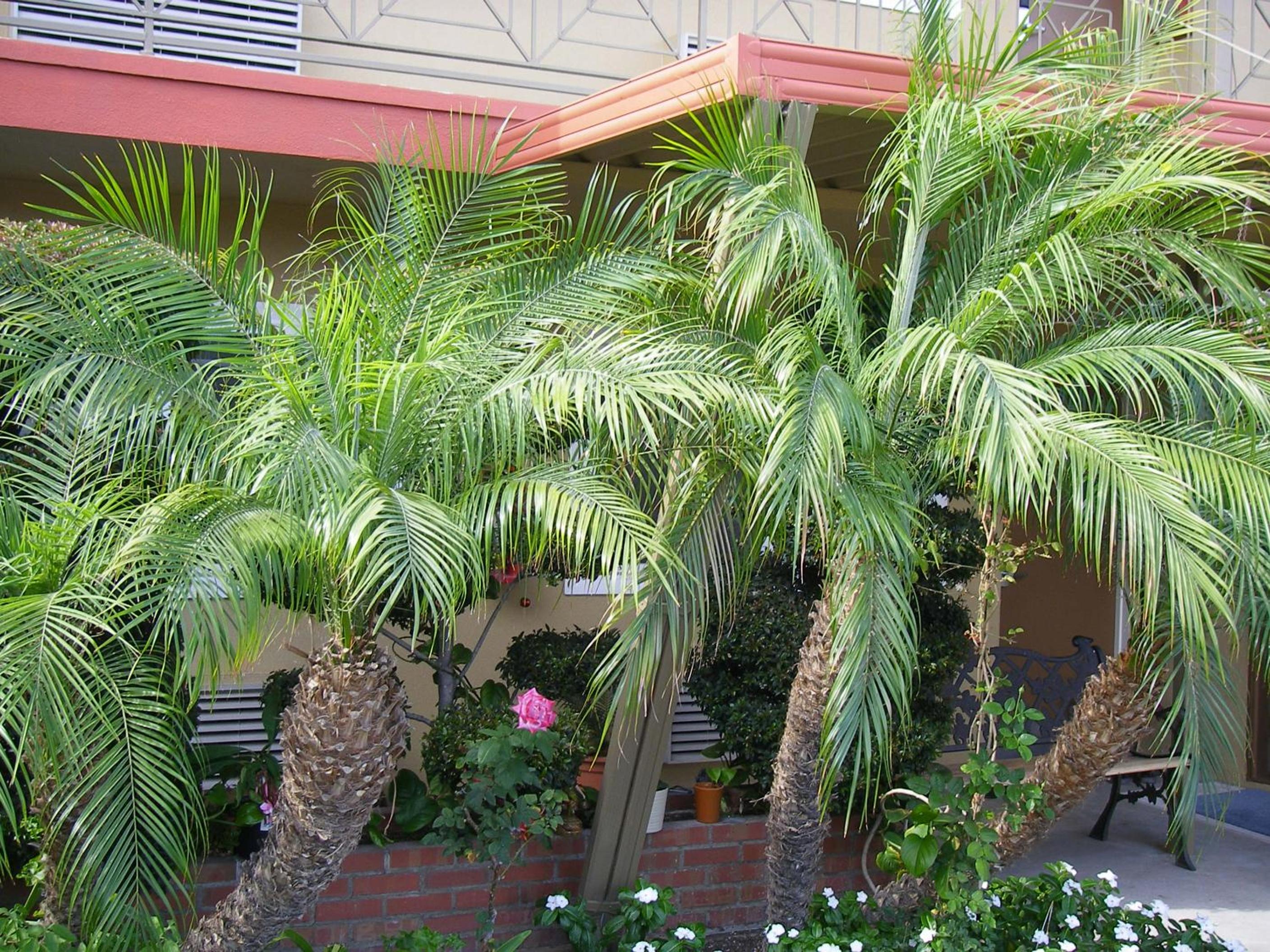 Fullerton Lodge