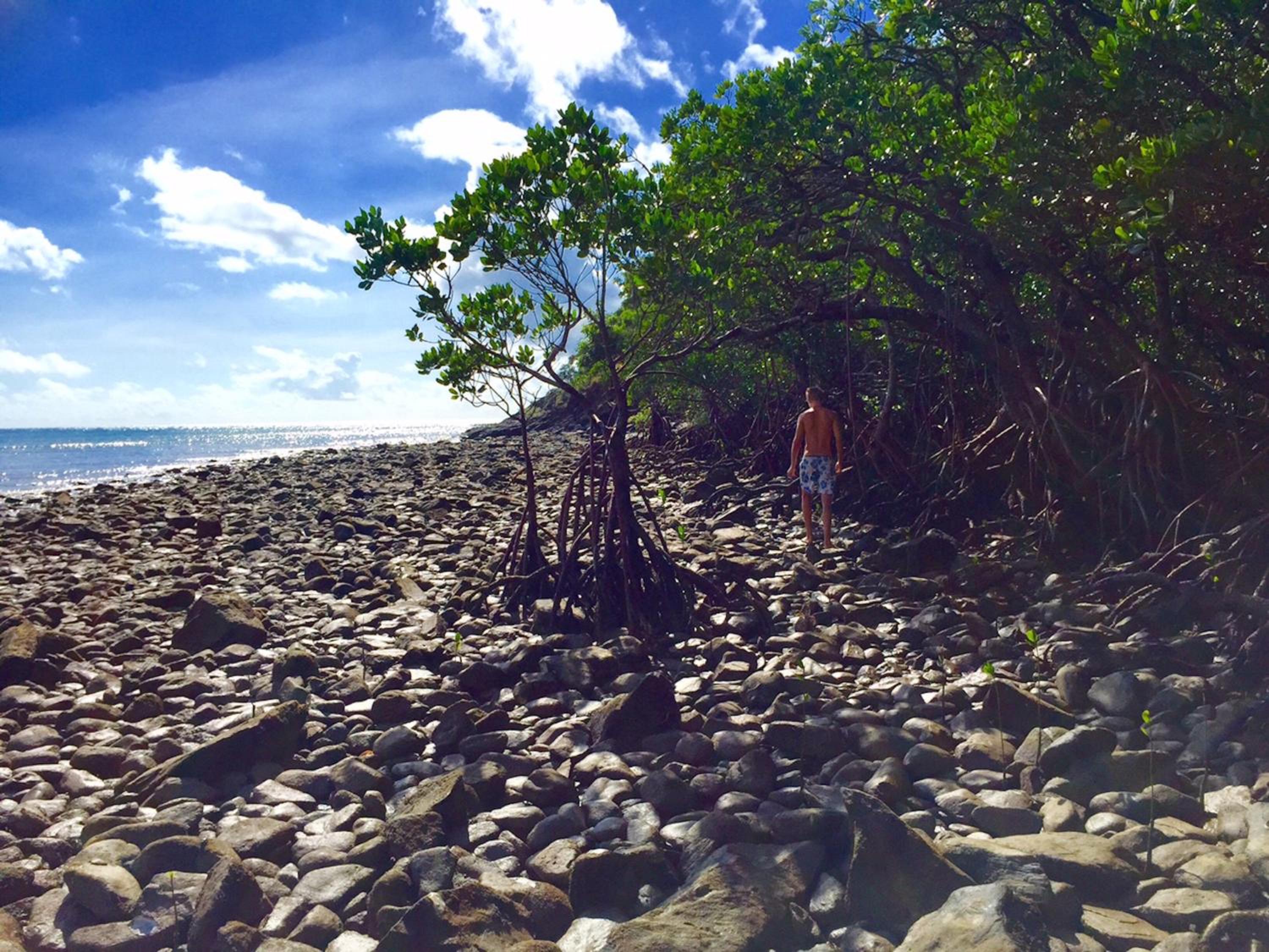 Cape Tribulation Holiday House