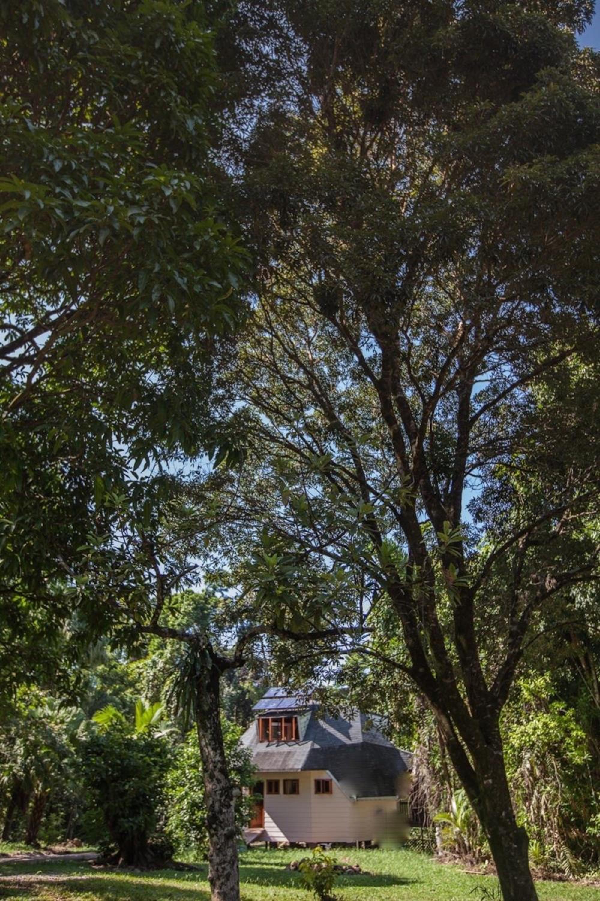 Cape Tribulation Holiday House
