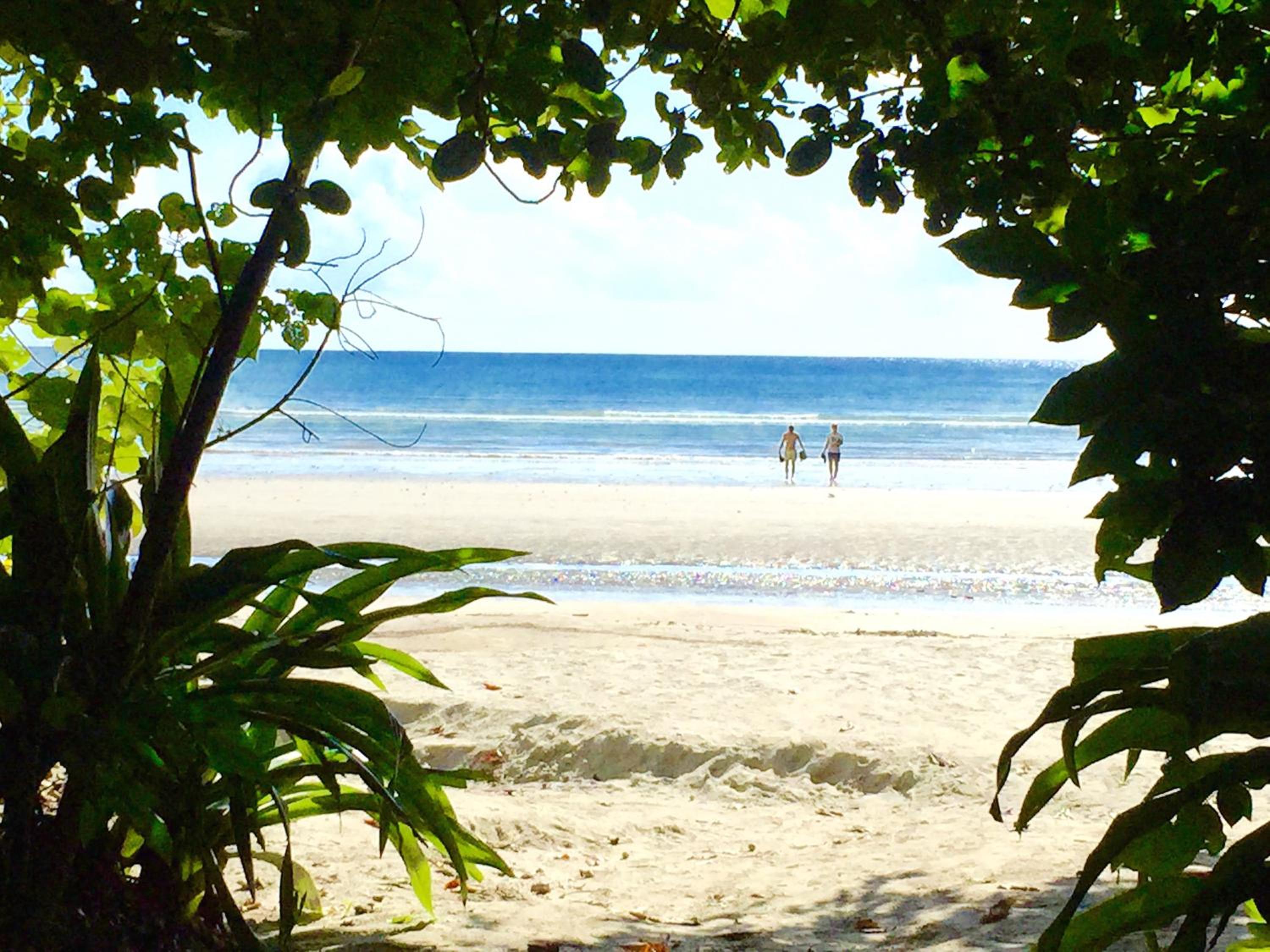 Cape Tribulation Holiday House