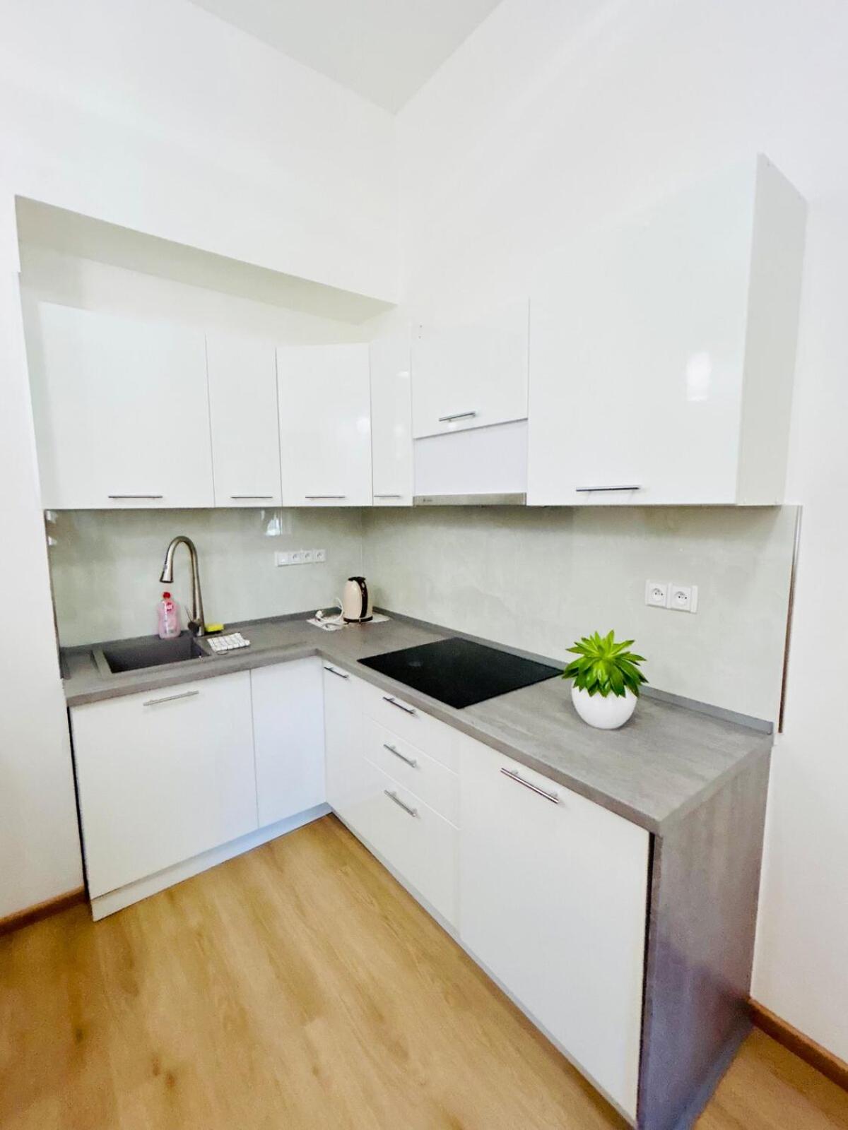 A newly renovated Apartment the heart of Prague