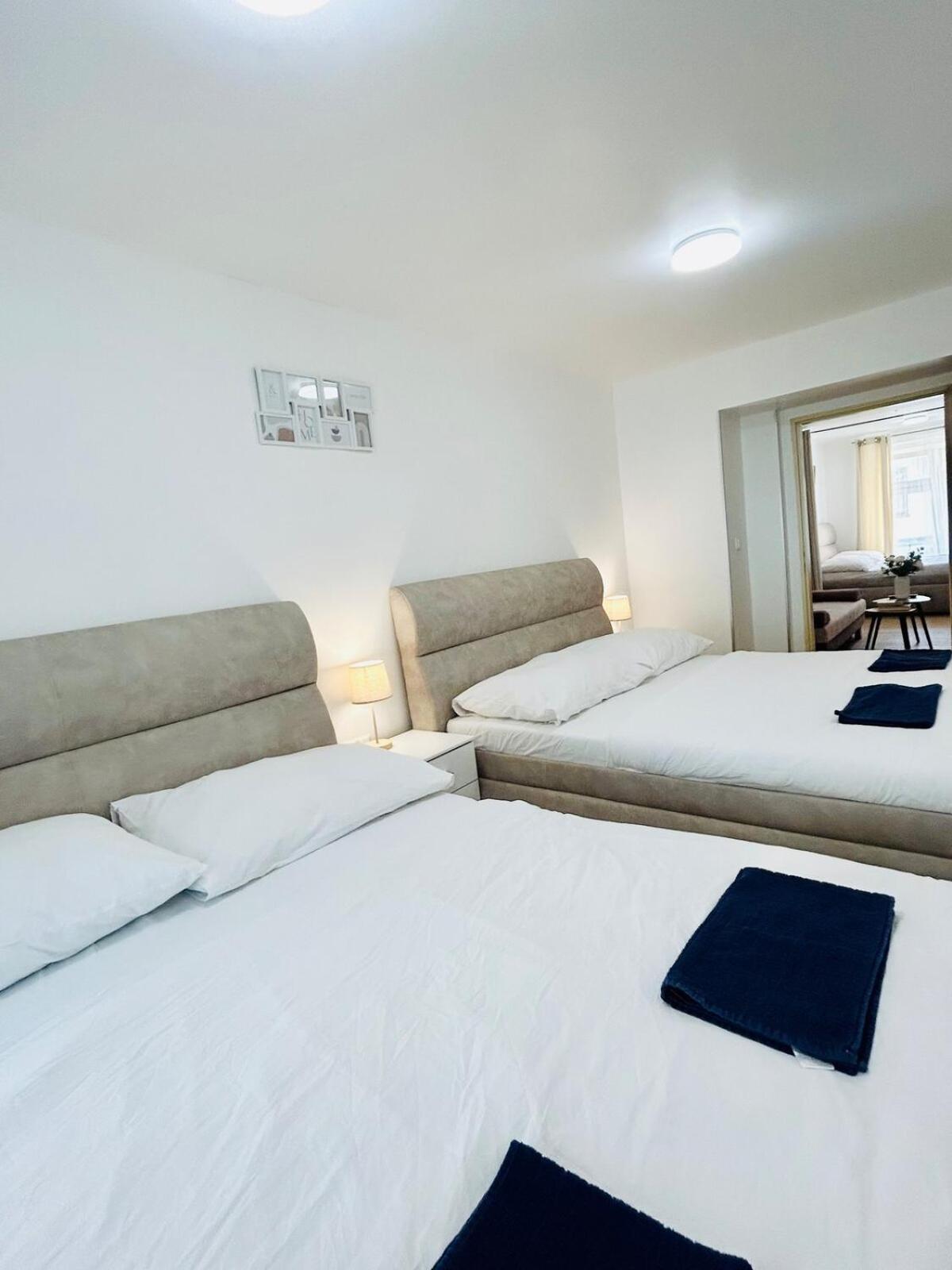 A newly renovated Apartment the heart of Prague