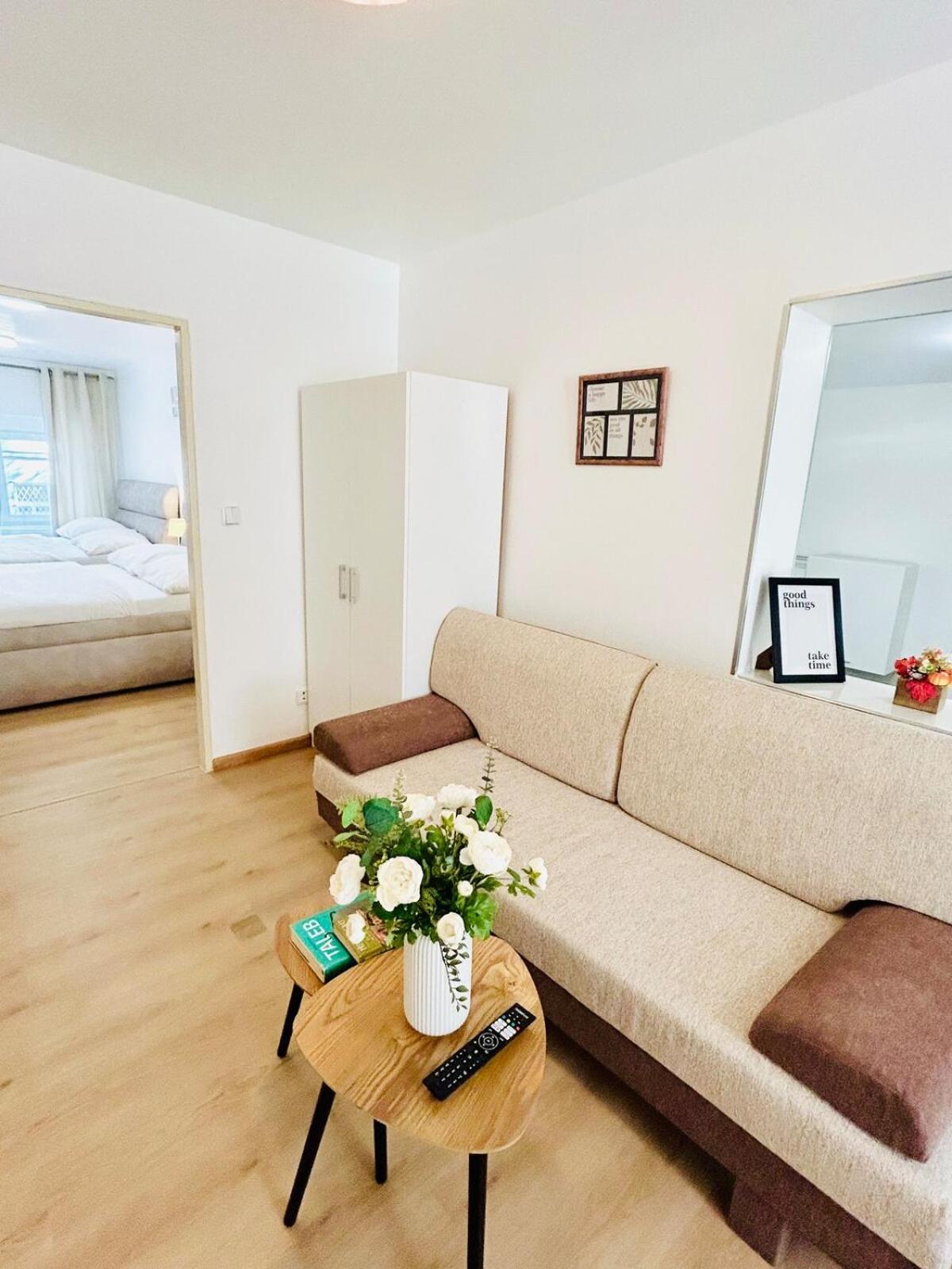 A newly renovated Apartment the heart of Prague