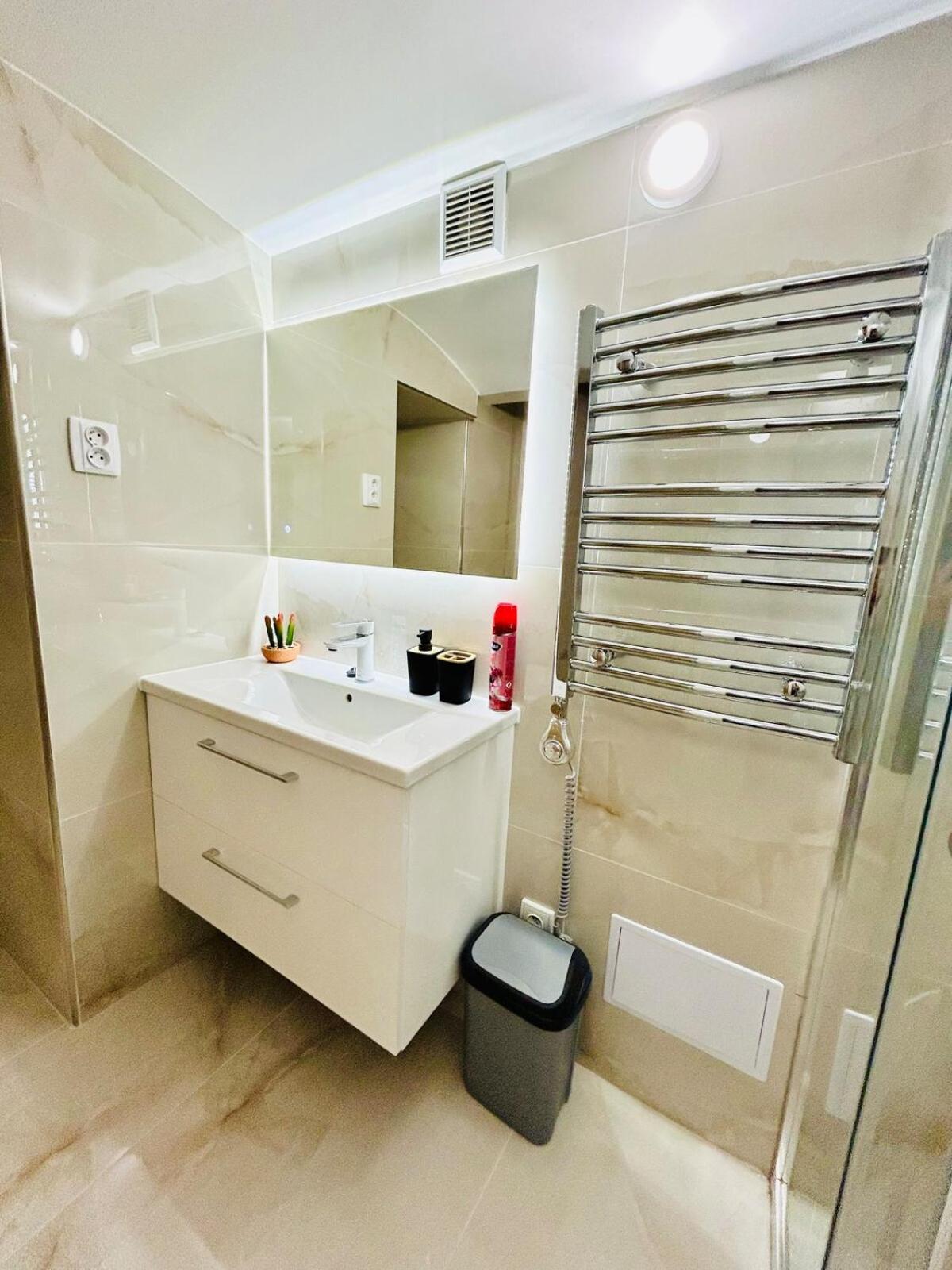 A newly renovated Apartment the heart of Prague