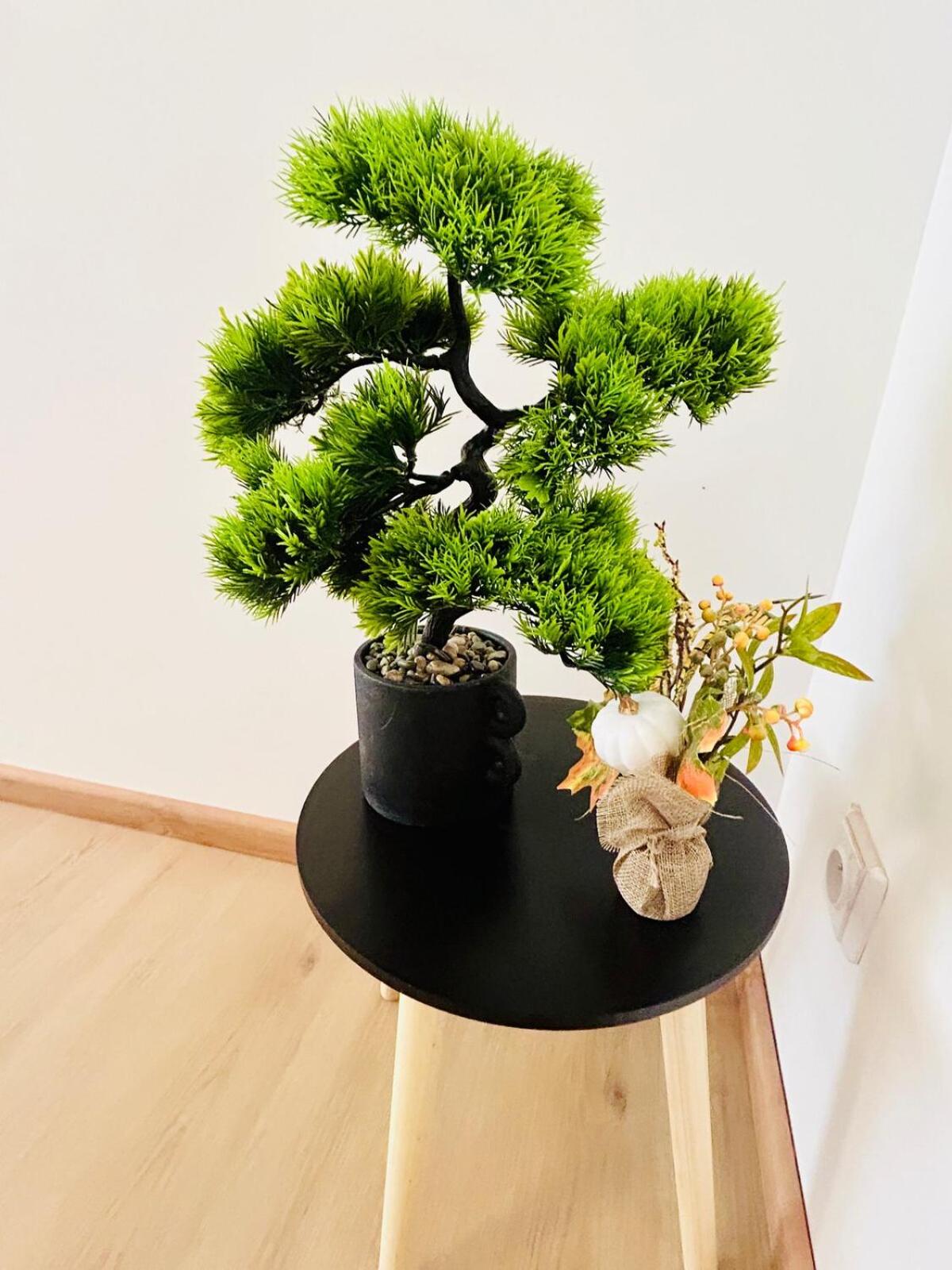 A newly renovated Apartment the heart of Prague