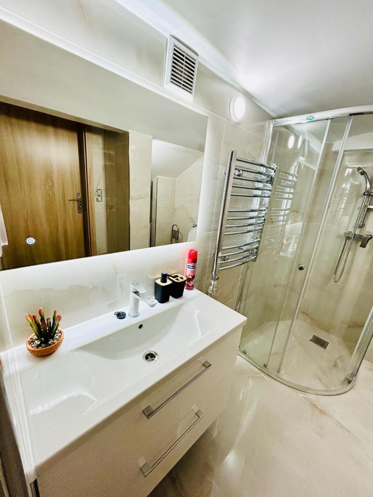 A newly renovated Apartment the heart of Prague