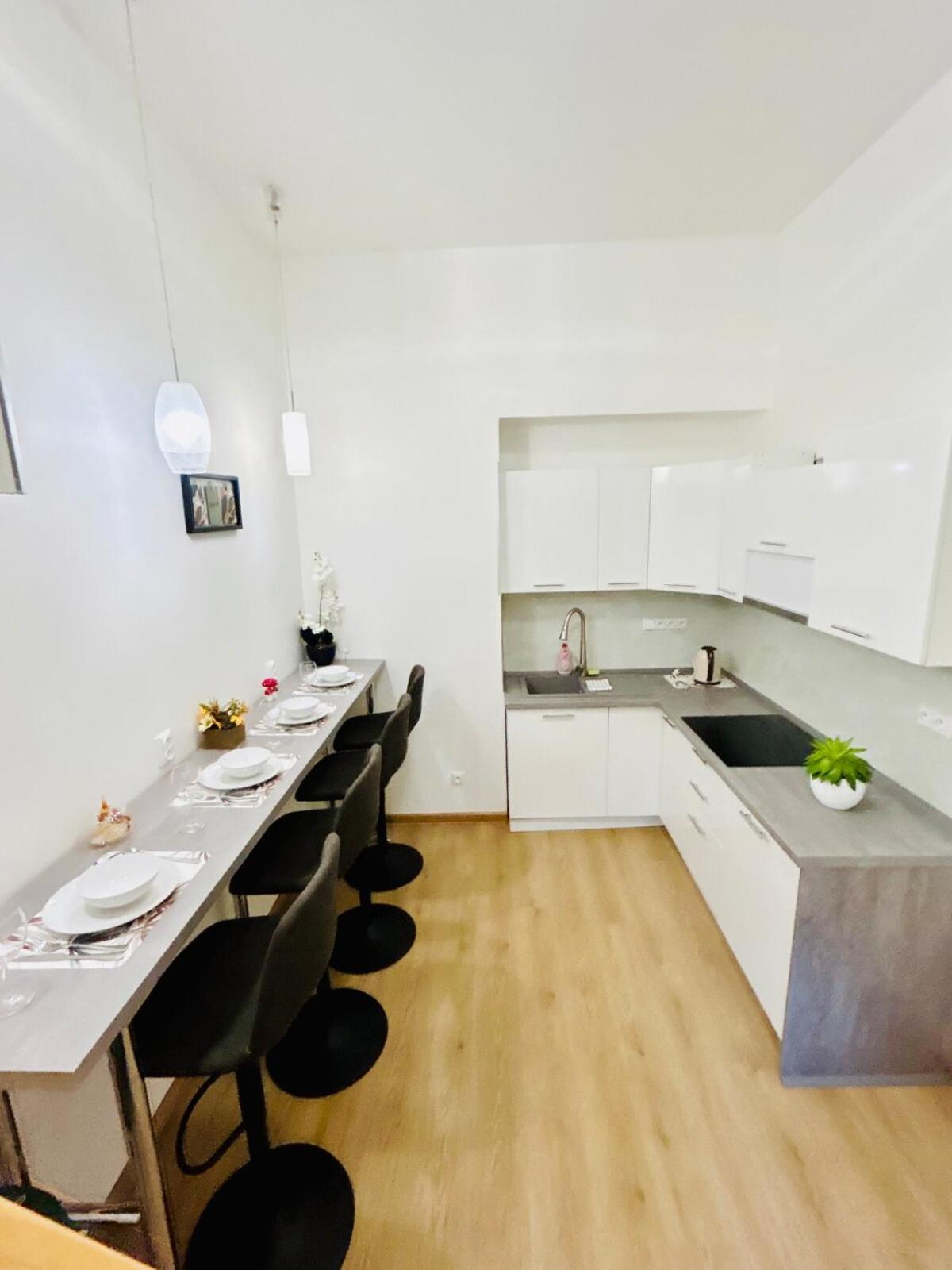 A newly renovated Apartment the heart of Prague