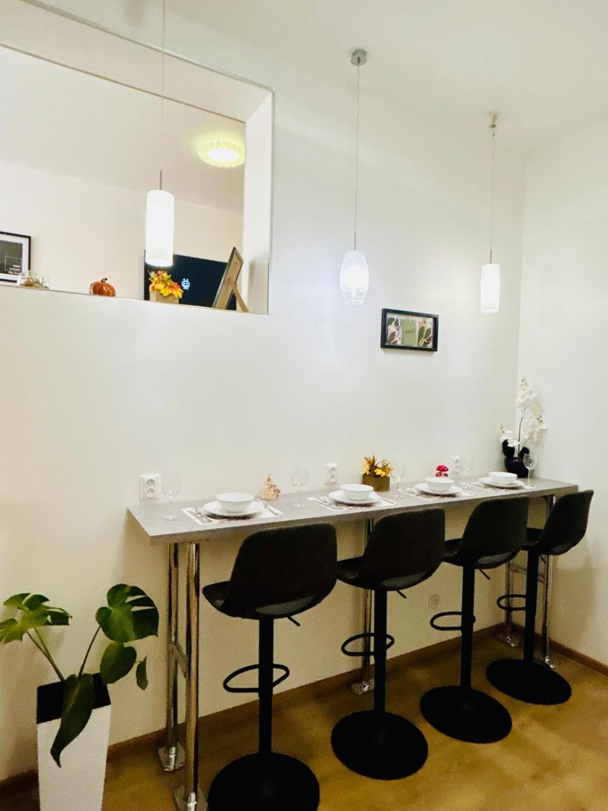 A newly renovated Apartment the heart of Prague