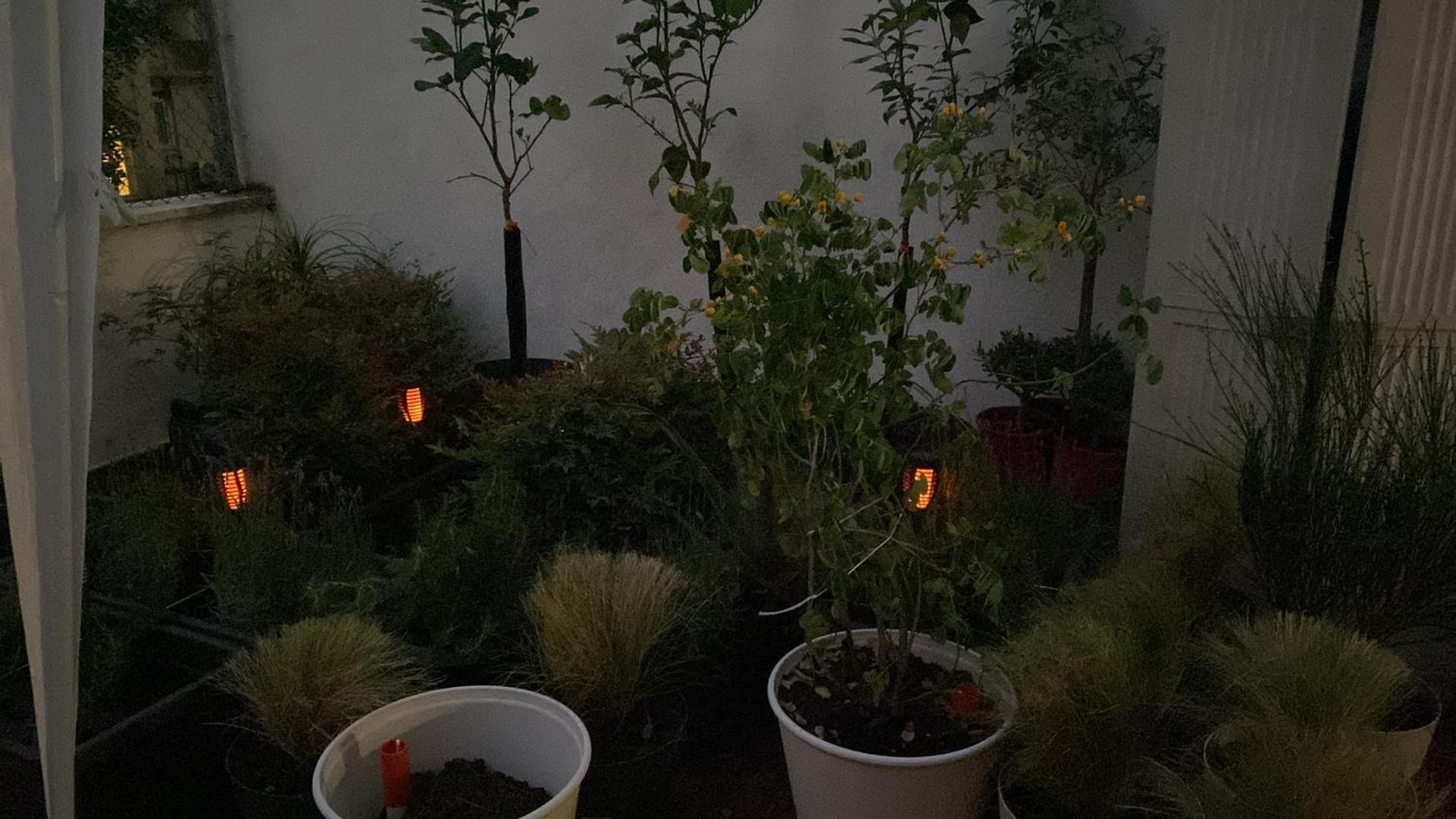 Ulivo Guest House Roma