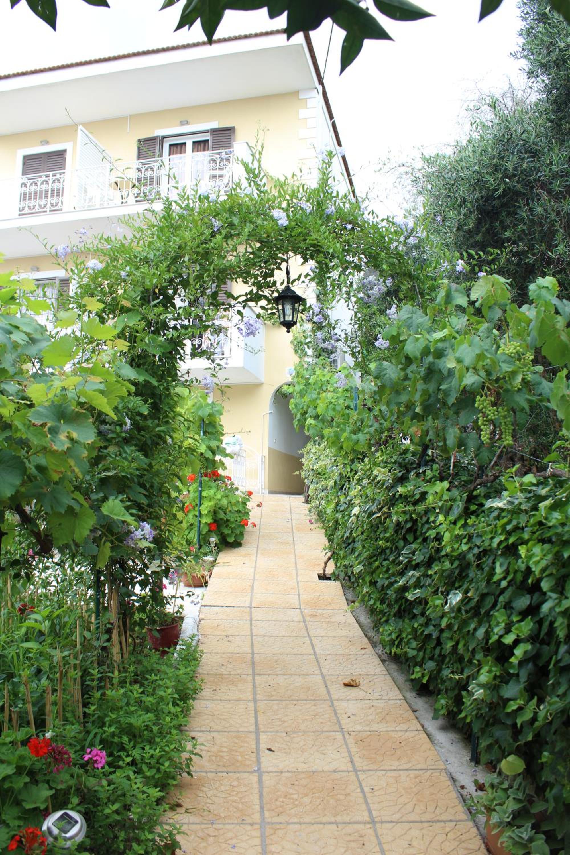 Photo 47
