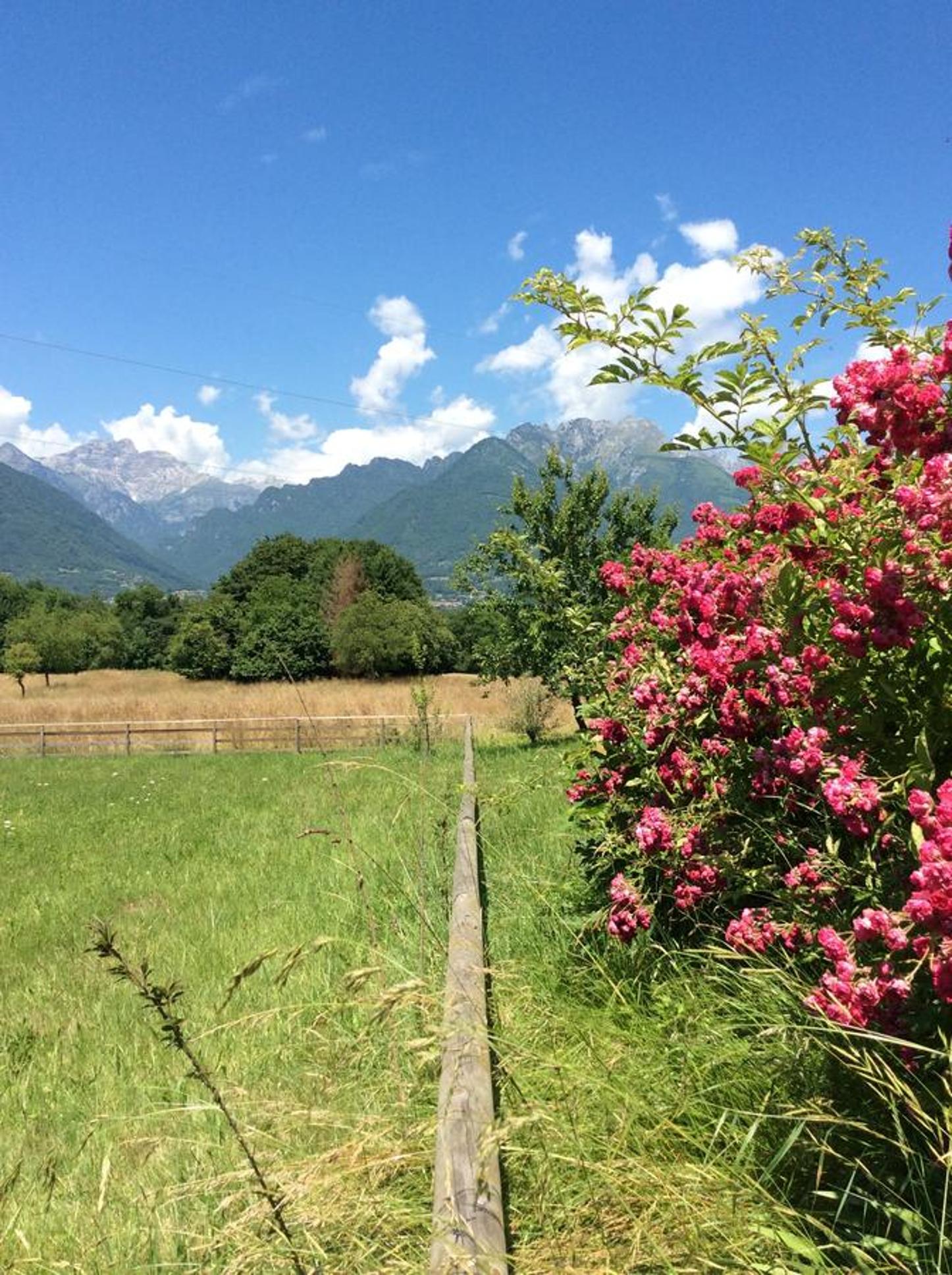 Il mondo roverso view 4