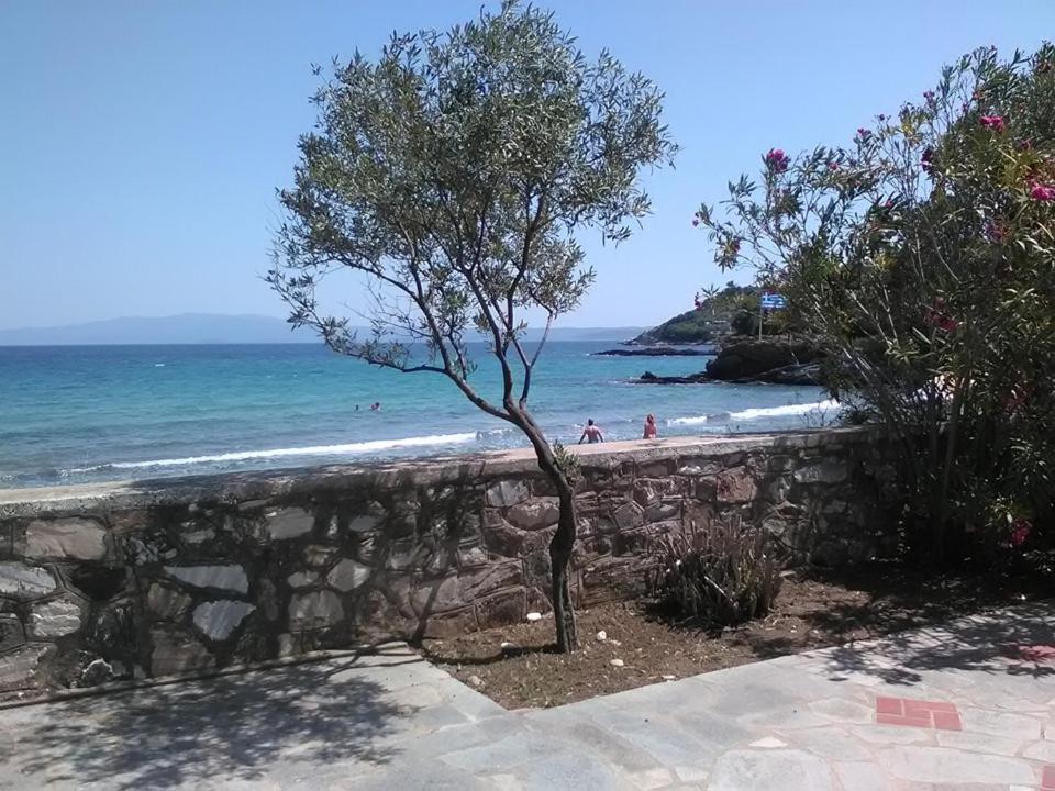 Photo 19