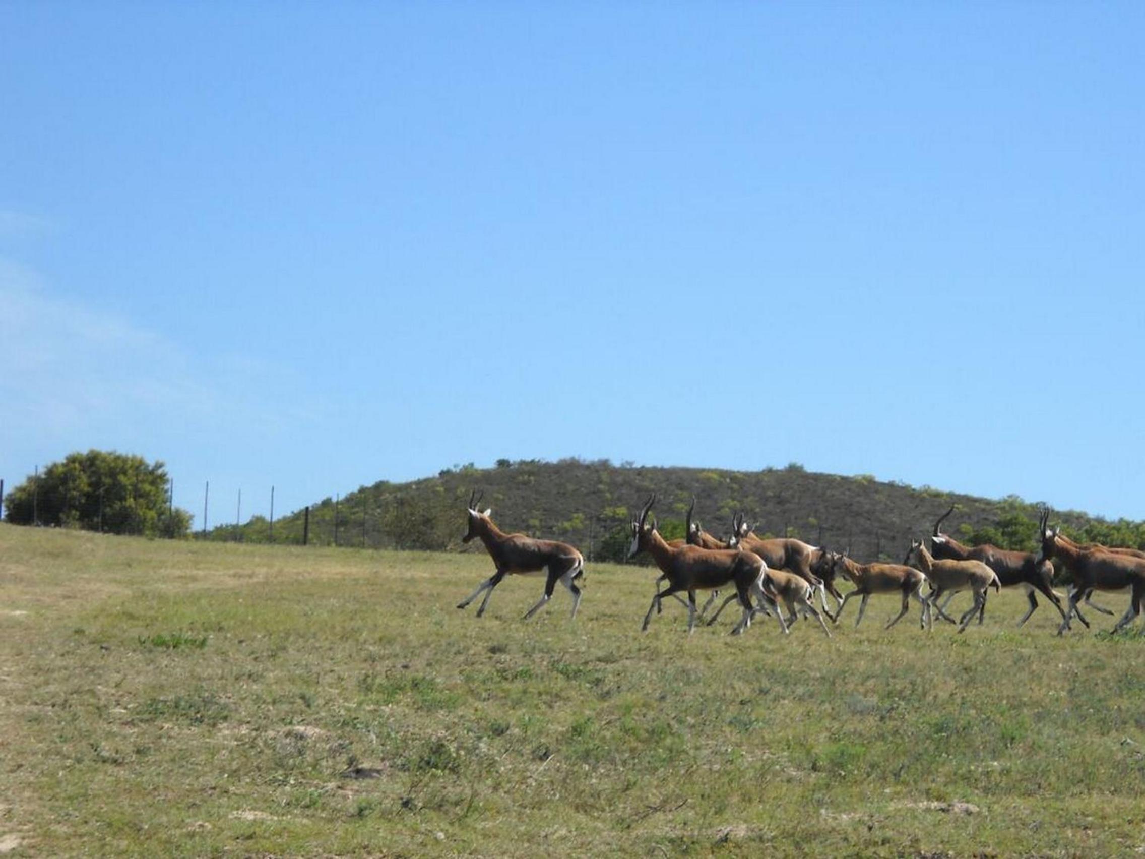 Pabala Private Nature Reserve