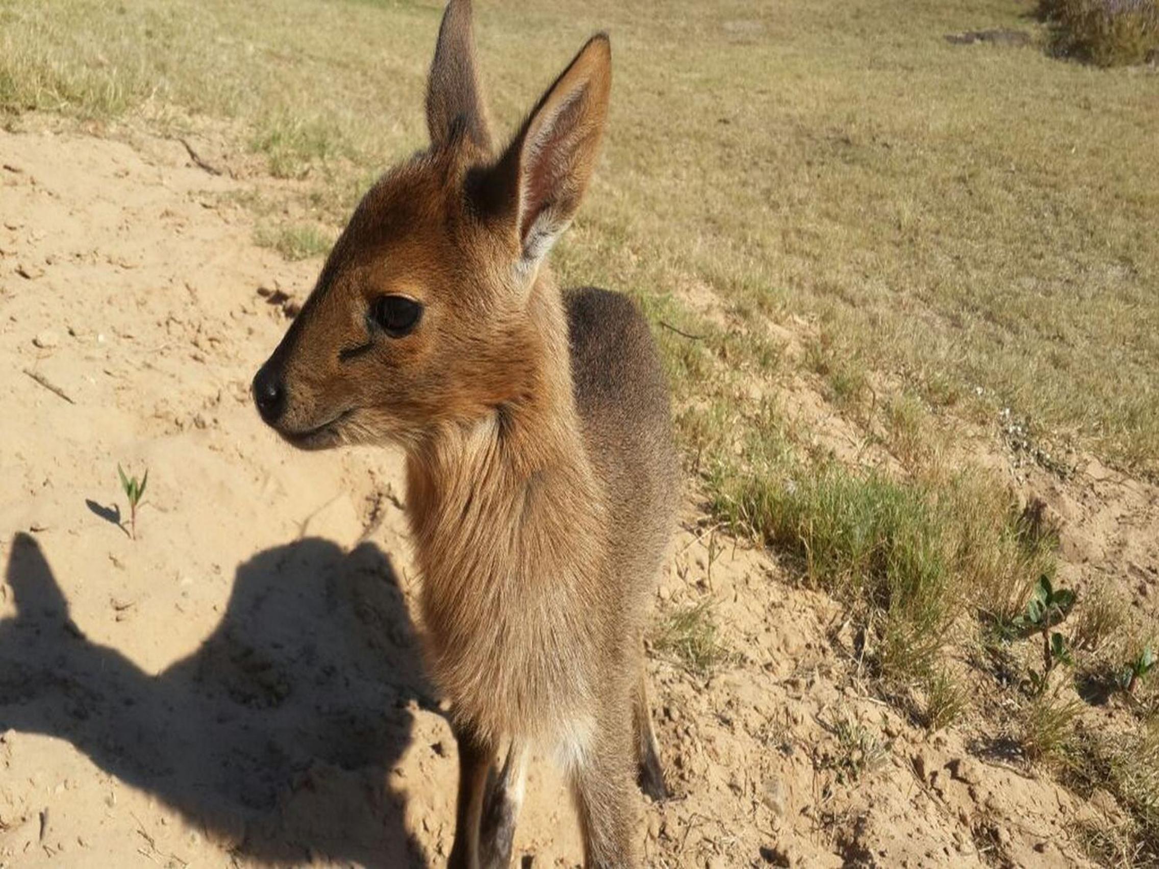 Pabala Private Nature Reserve