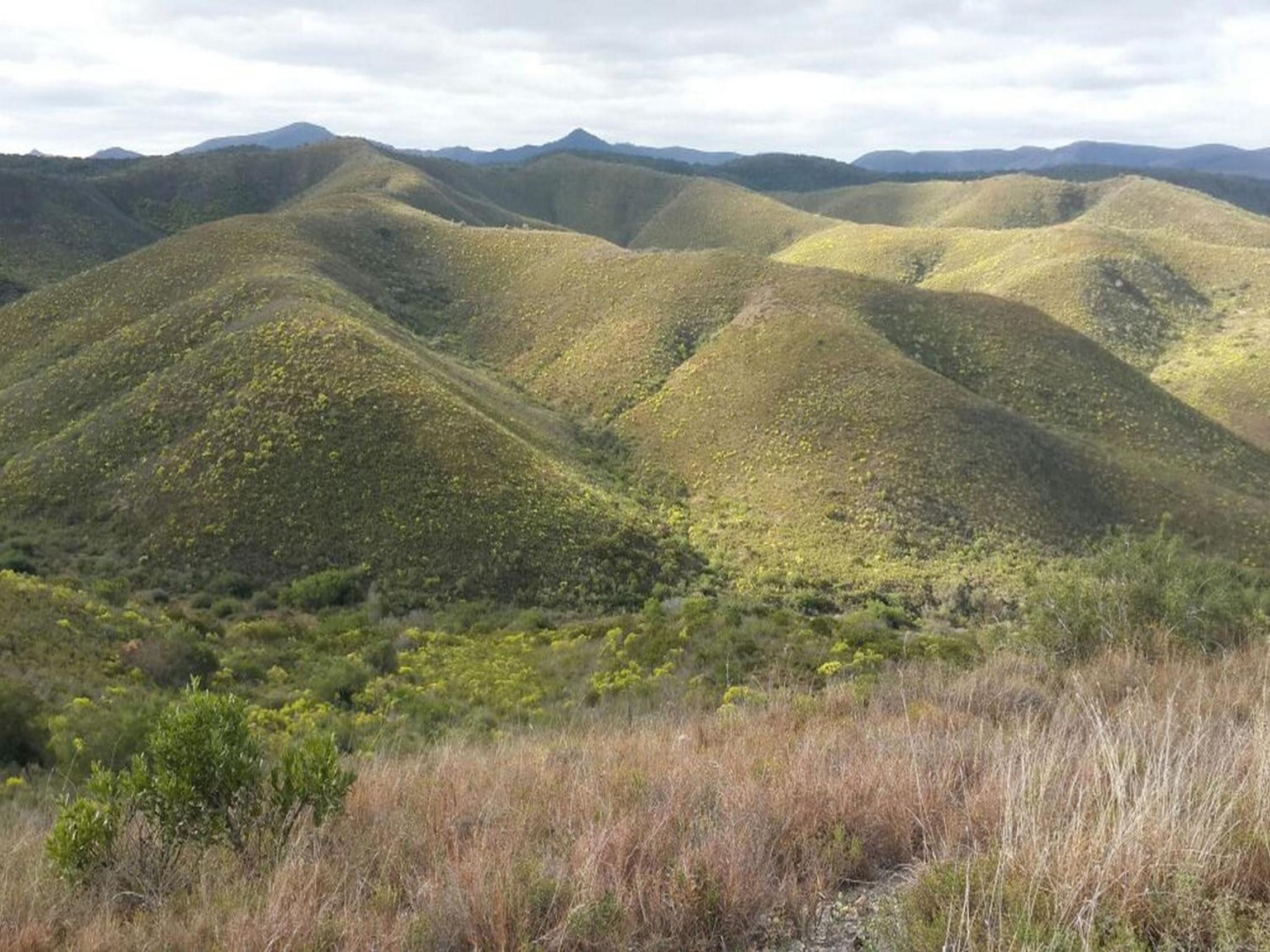 Pabala Private Nature Reserve