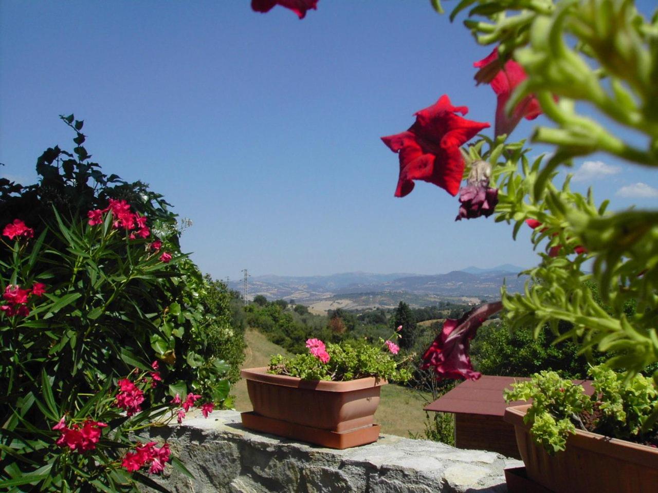 Agriturismo Poggio del Drago