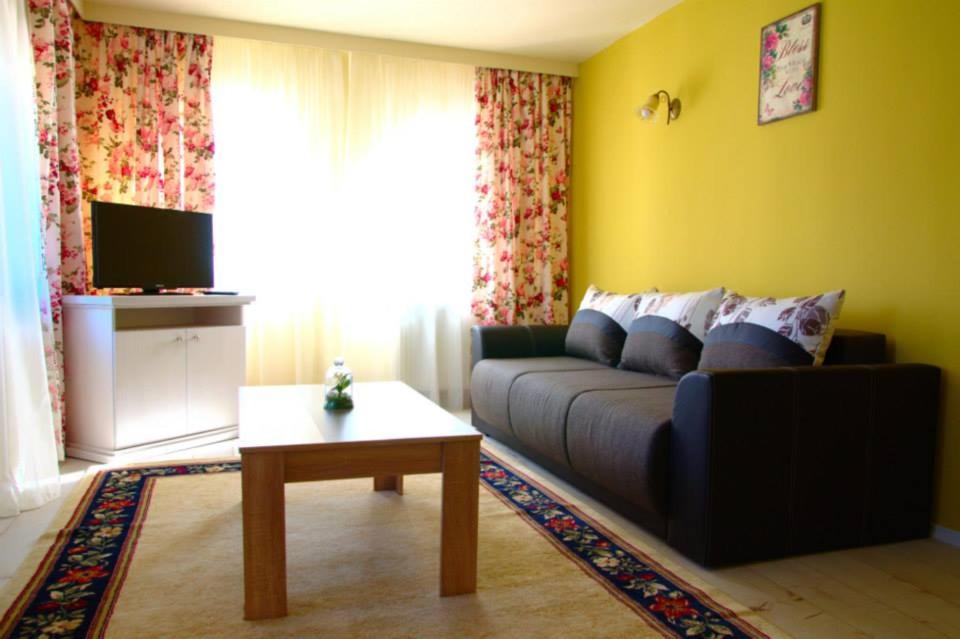 Pensiunea Cabana Soimul view 5