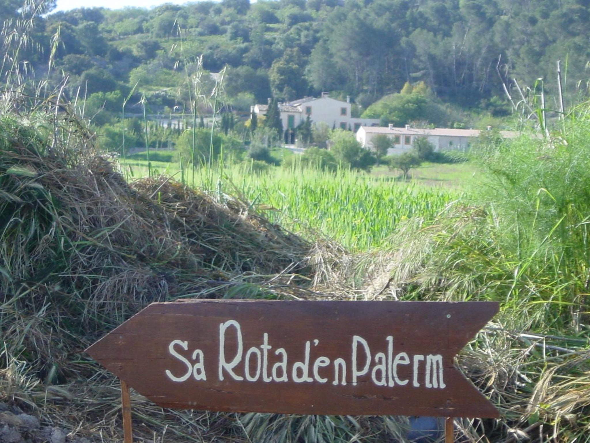Photo 28