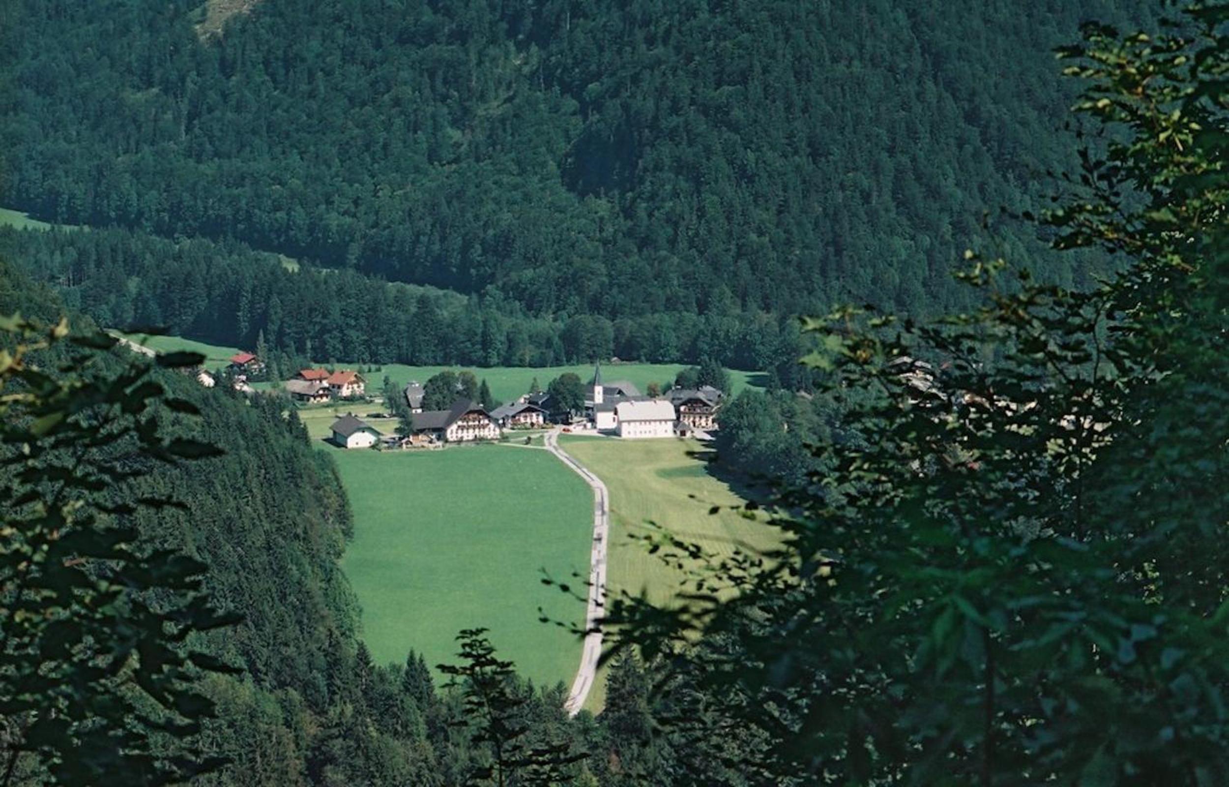 Photo 7